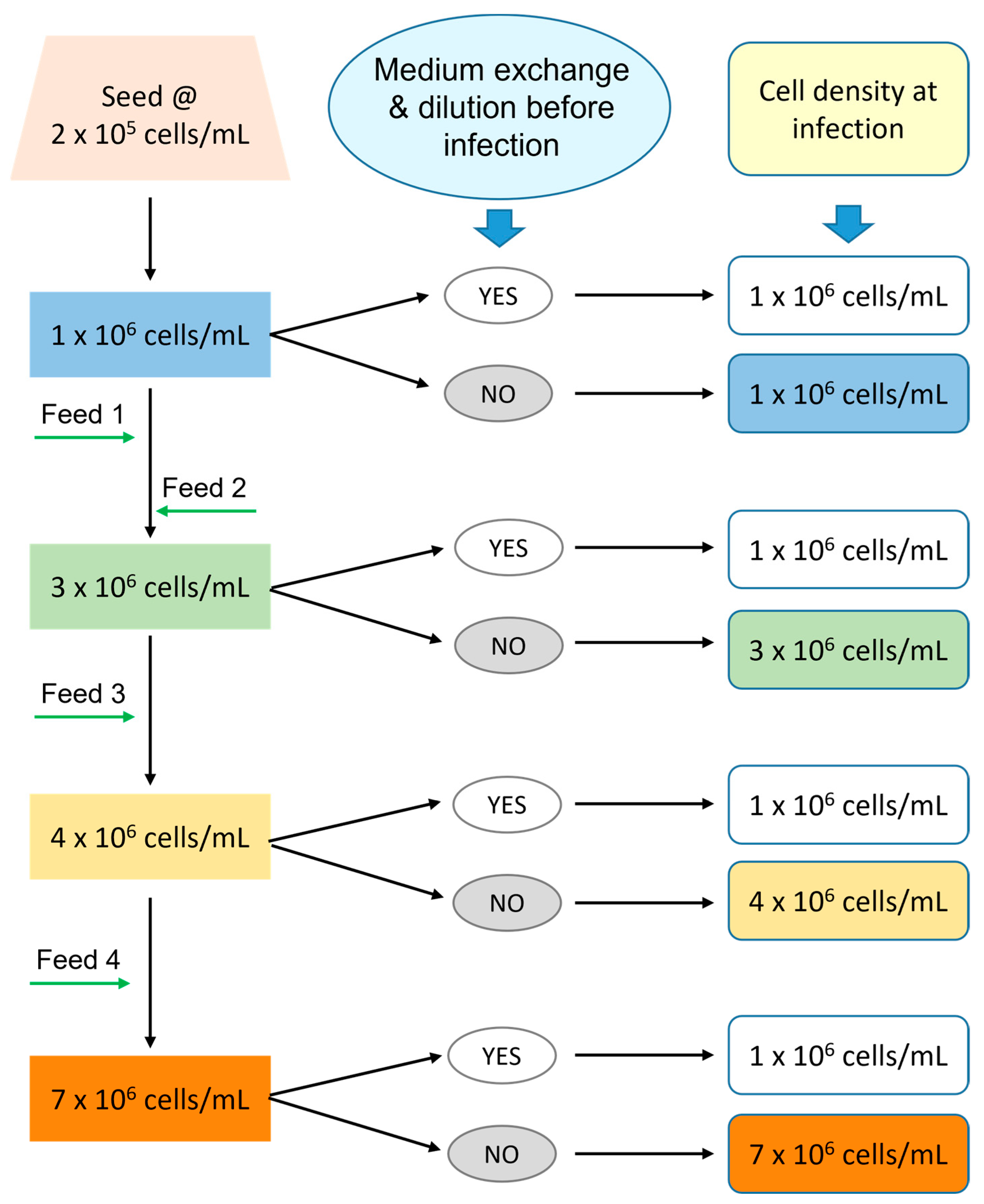 Vaccines 12 00524 g001