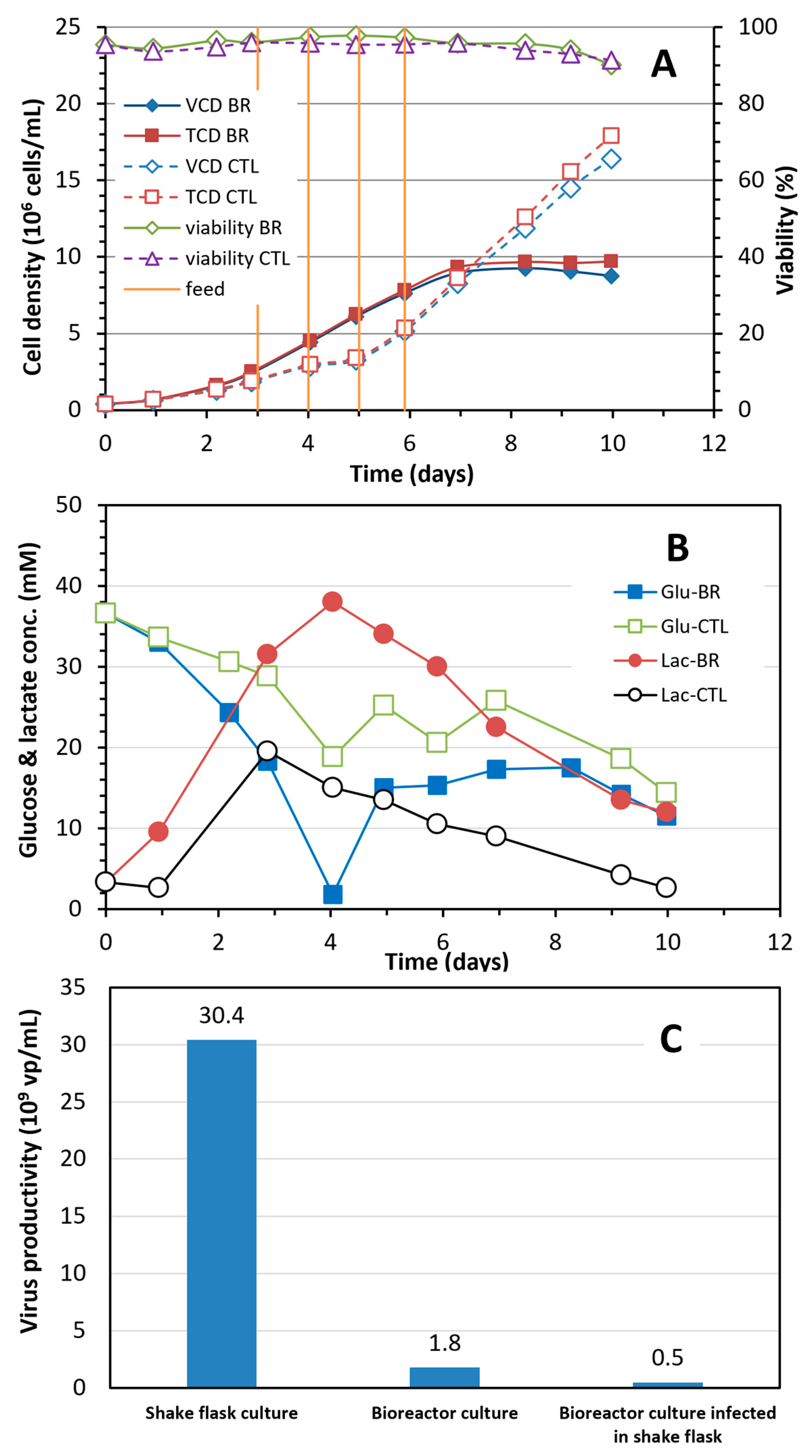 Vaccines 12 00524 g005