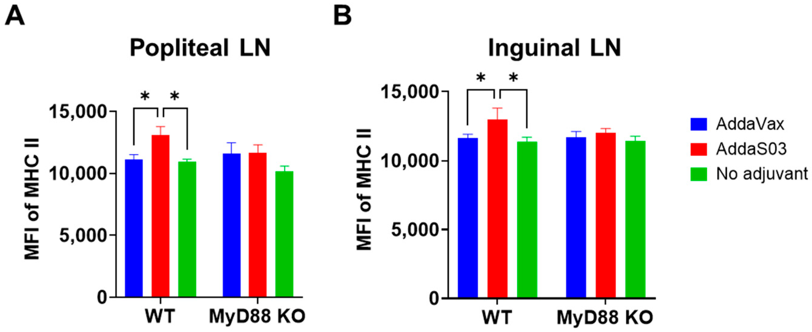 Vaccines 12 00531 g005