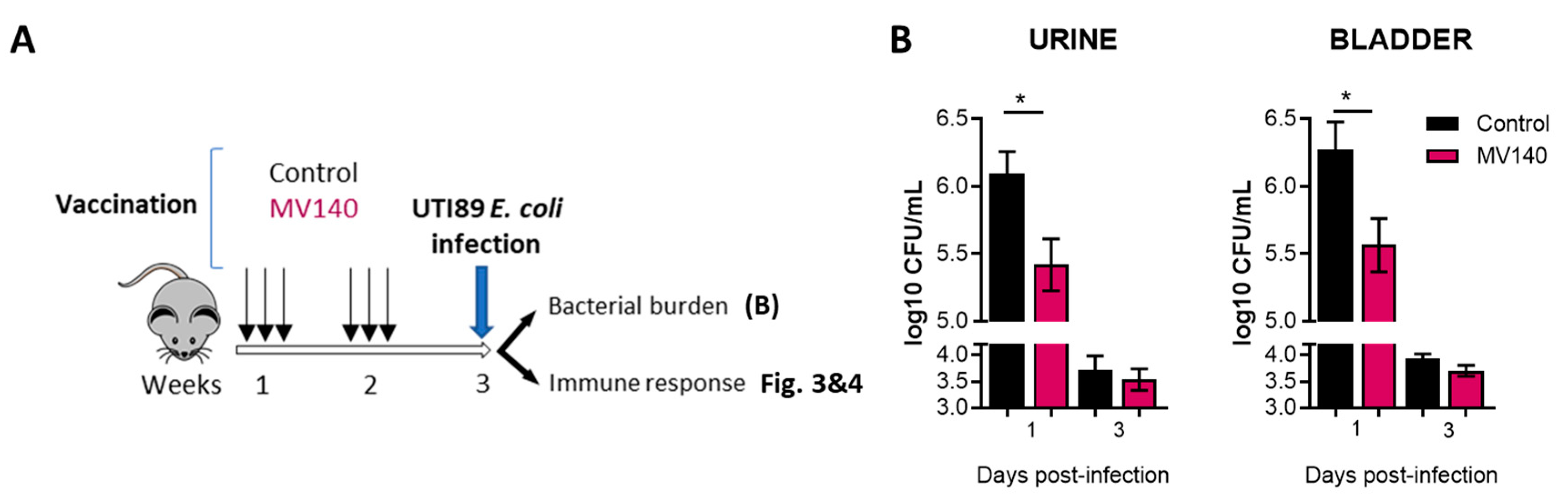 Vaccines 12 00535 g002