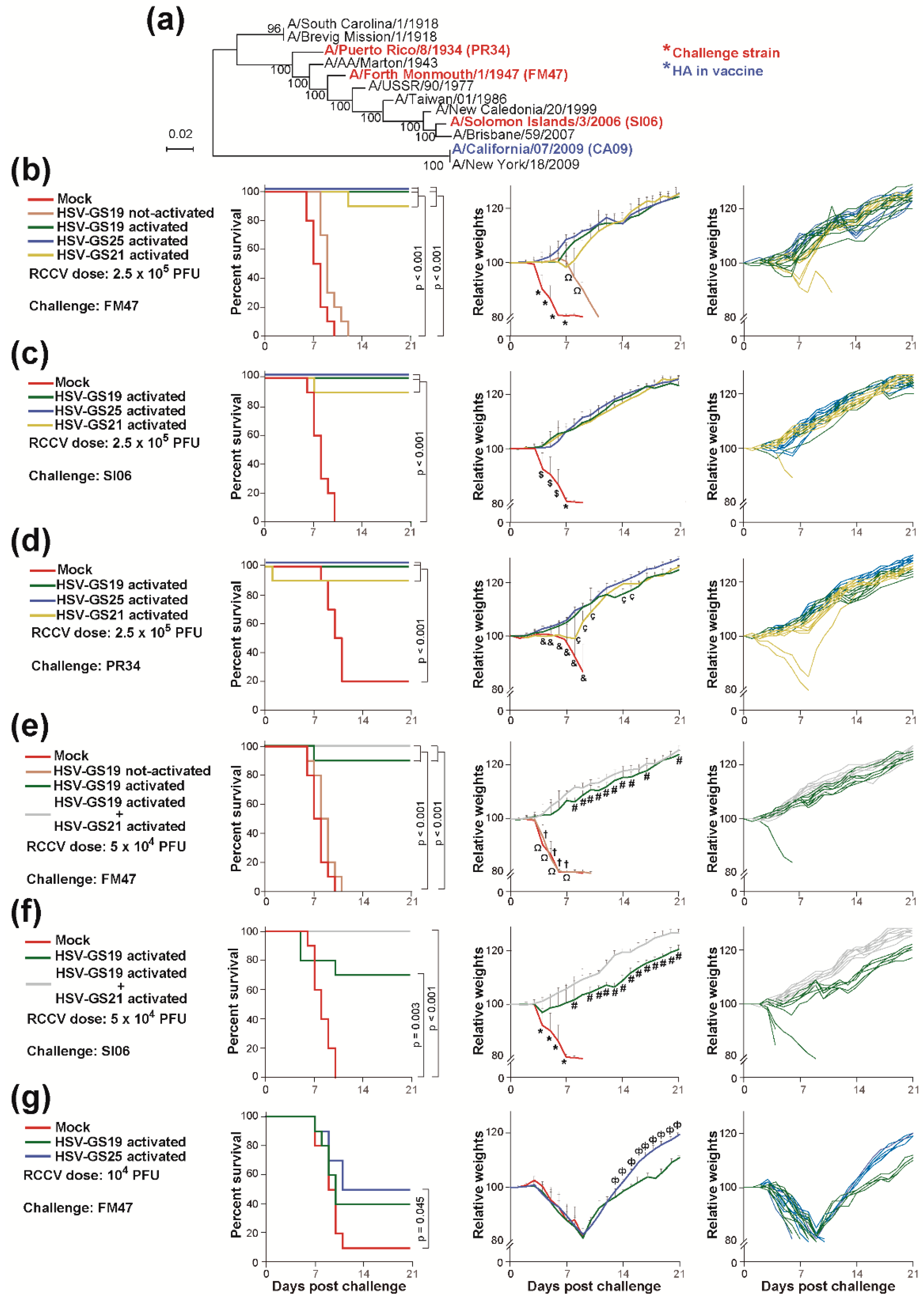 Vaccines 12 00537 g003