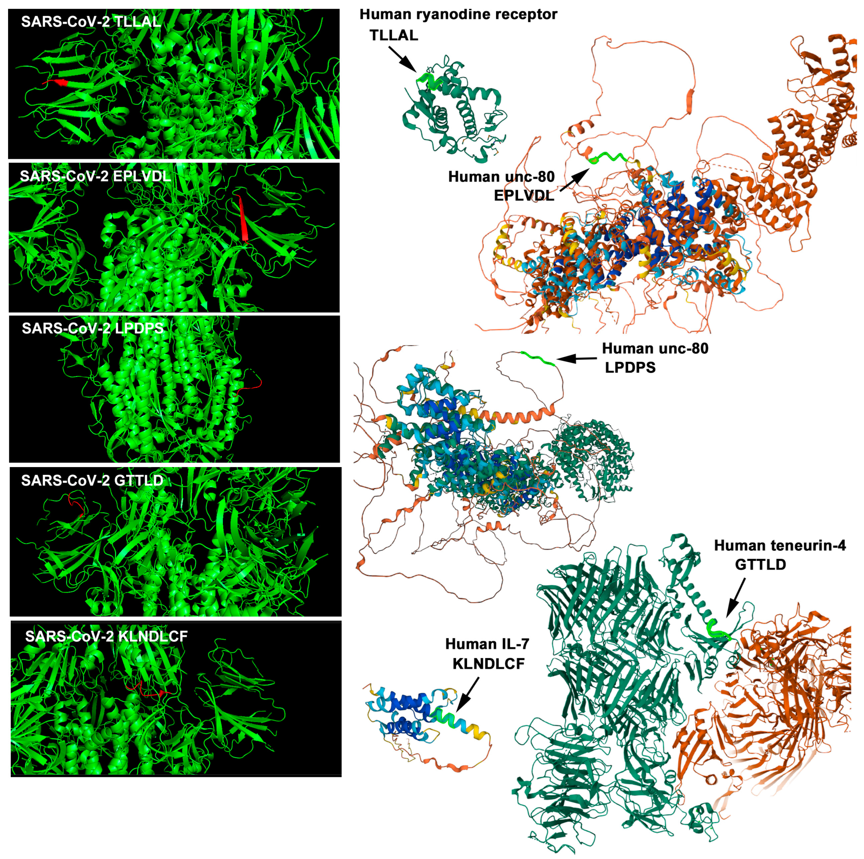 Vaccines 12 00539 g003