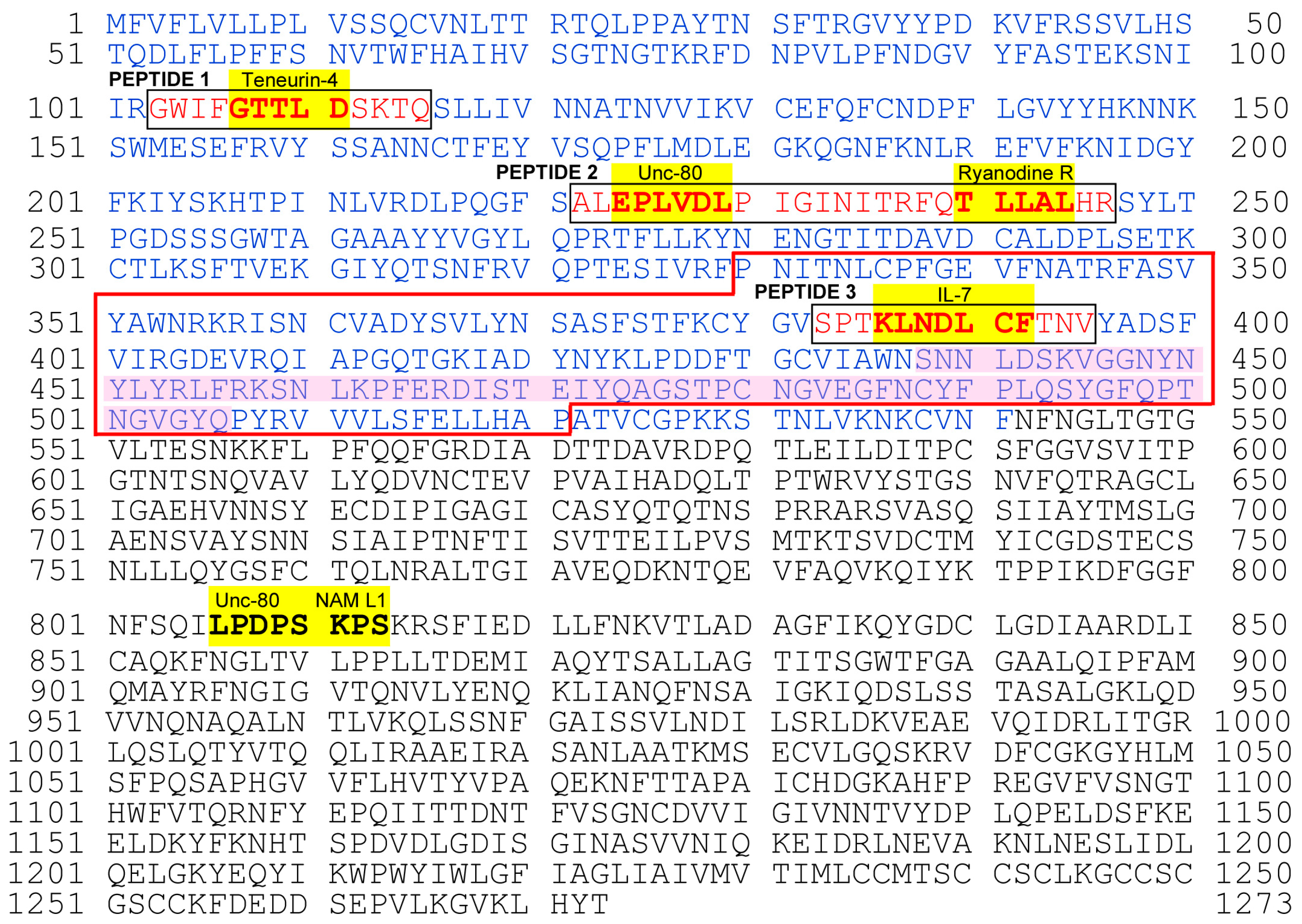 Vaccines 12 00539 g004
