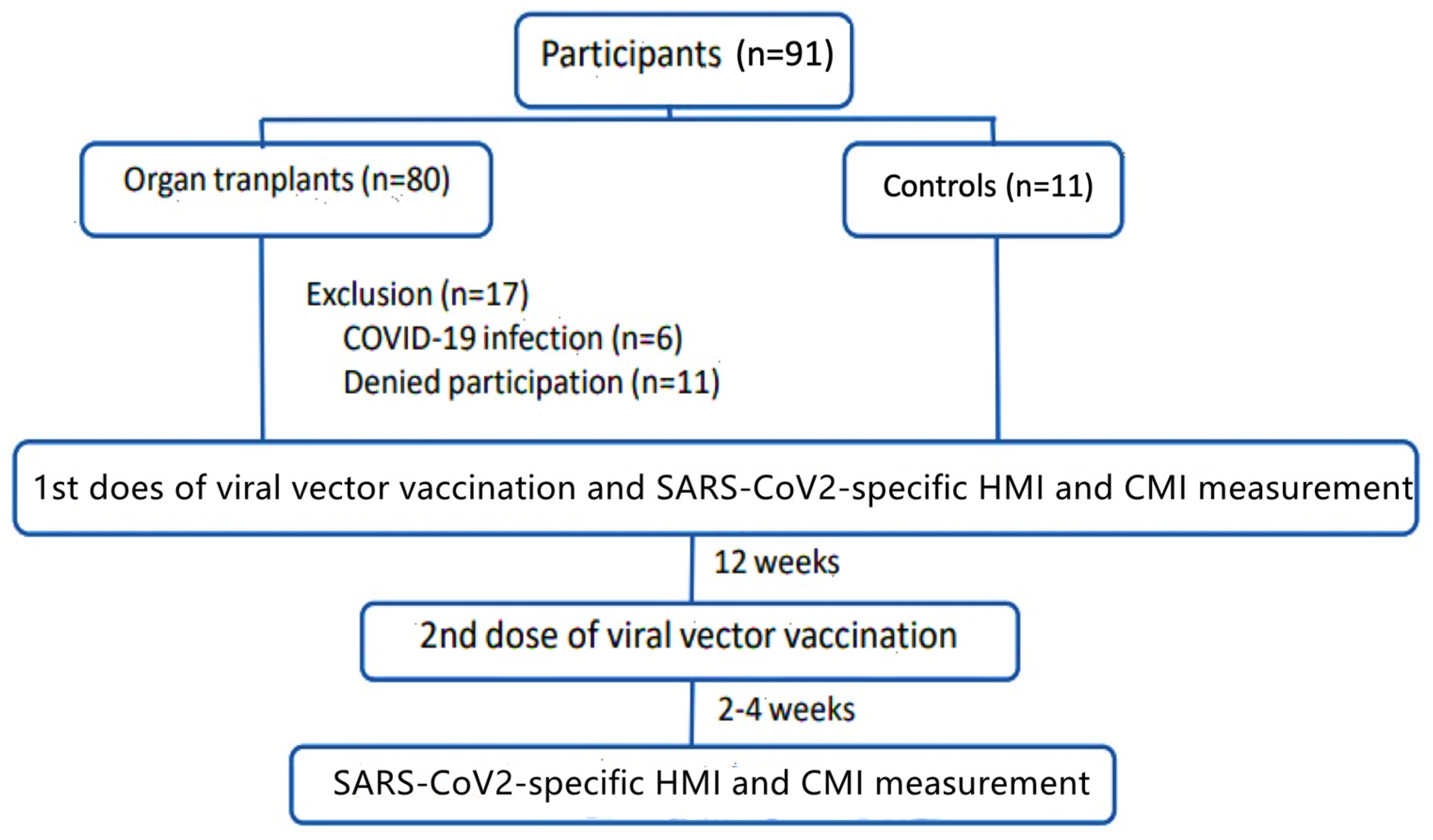 Vaccines 12 00541 g001