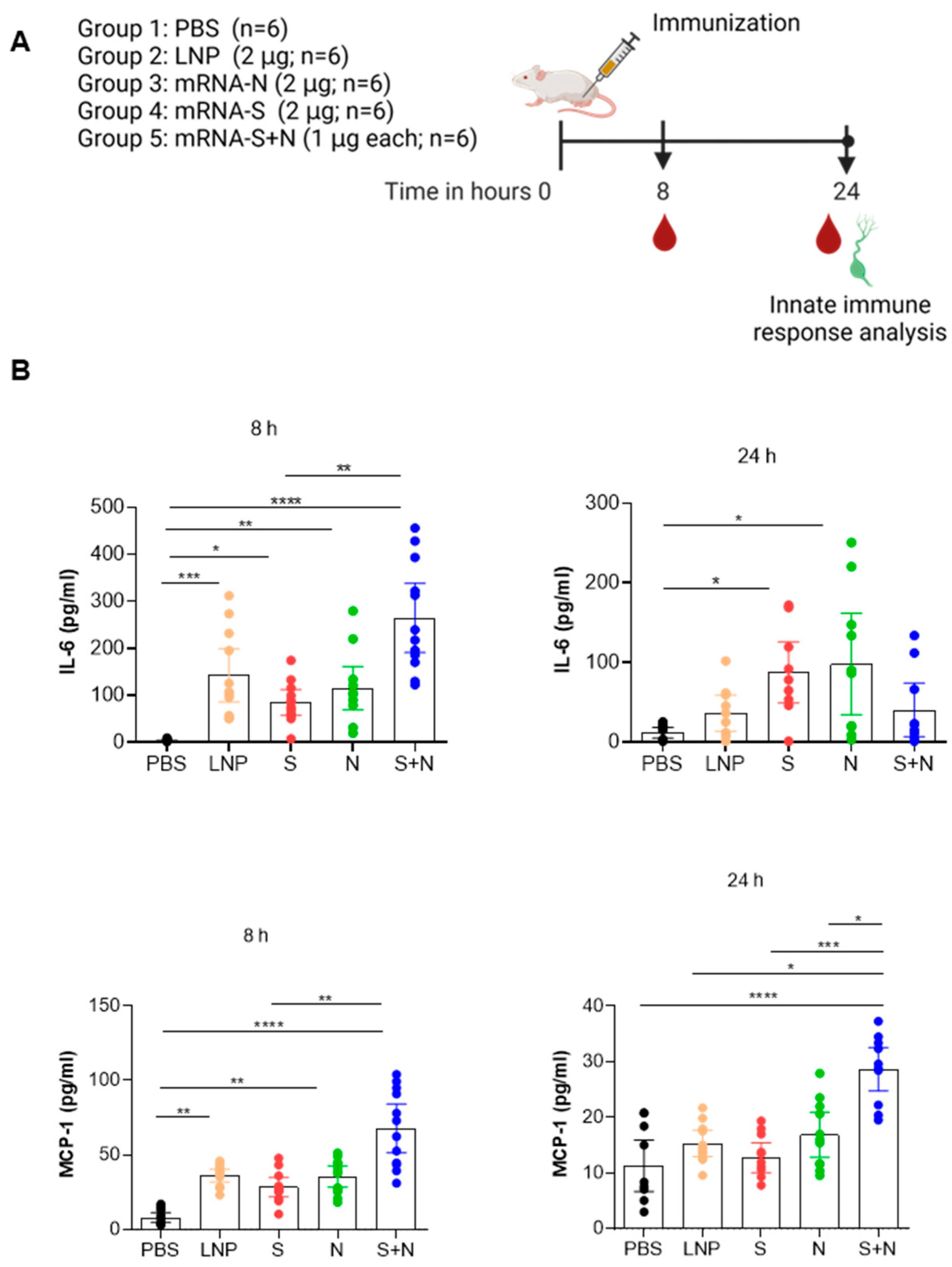 Vaccines 12 00543 g001