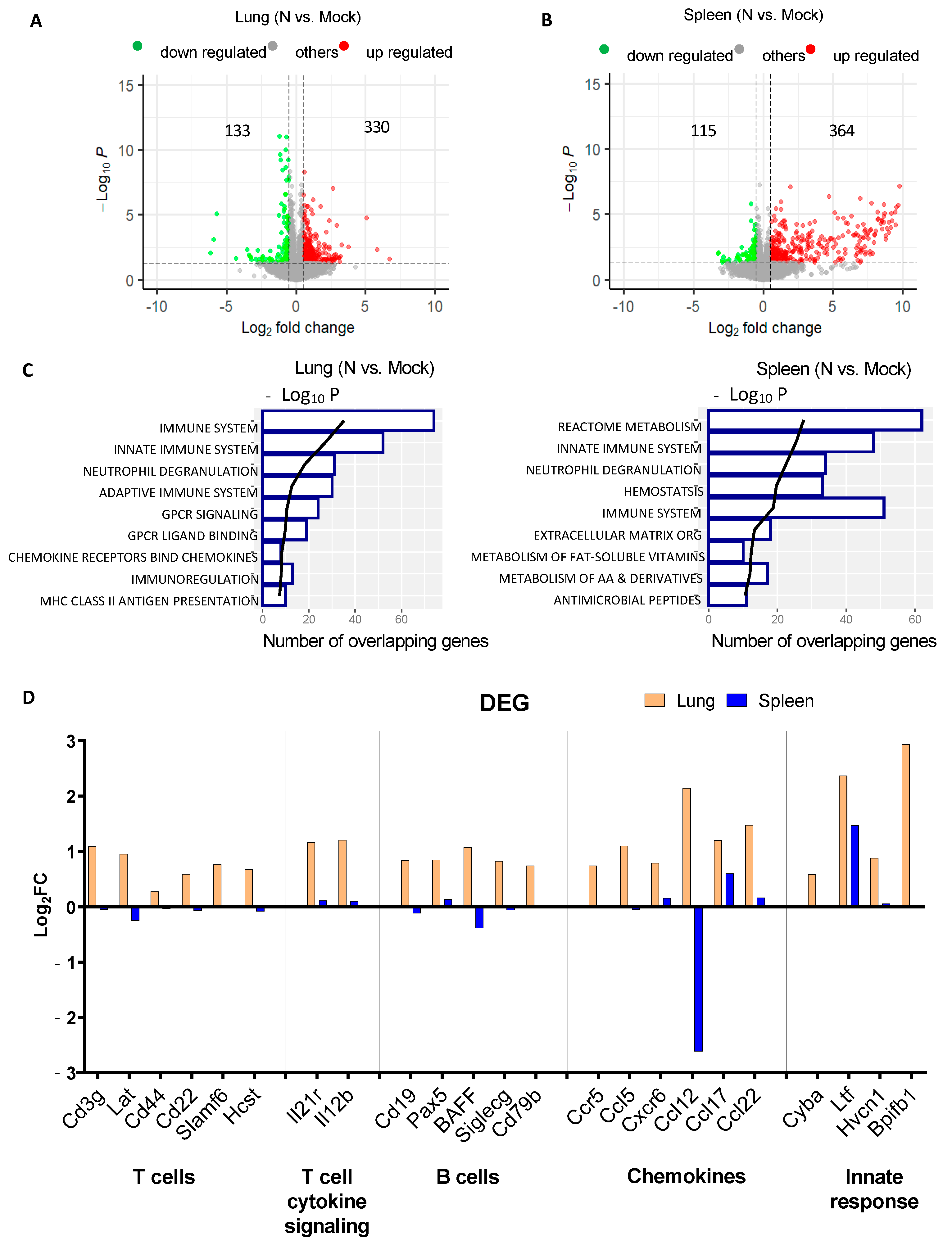 Vaccines 12 00543 g002