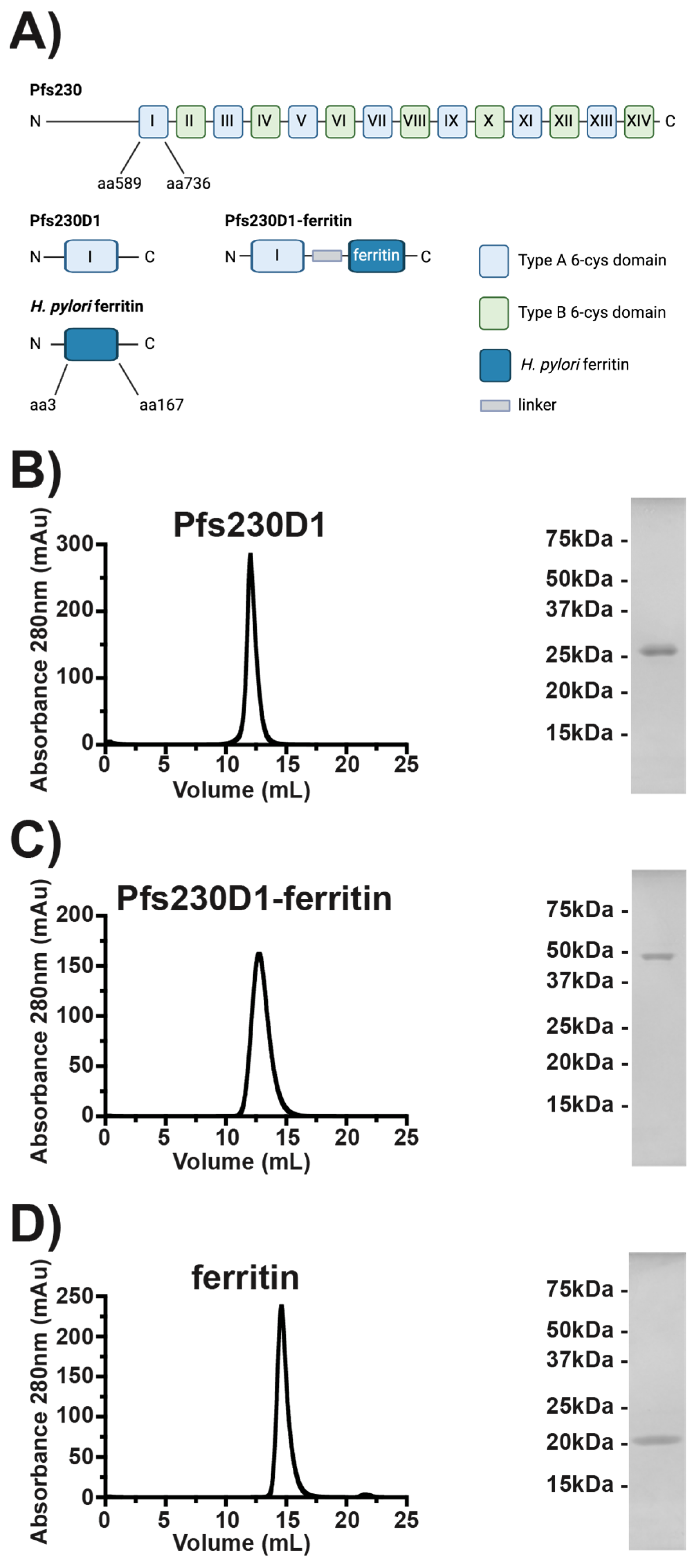 Vaccines 12 00546 g001 Vaccines 12 00546 g001