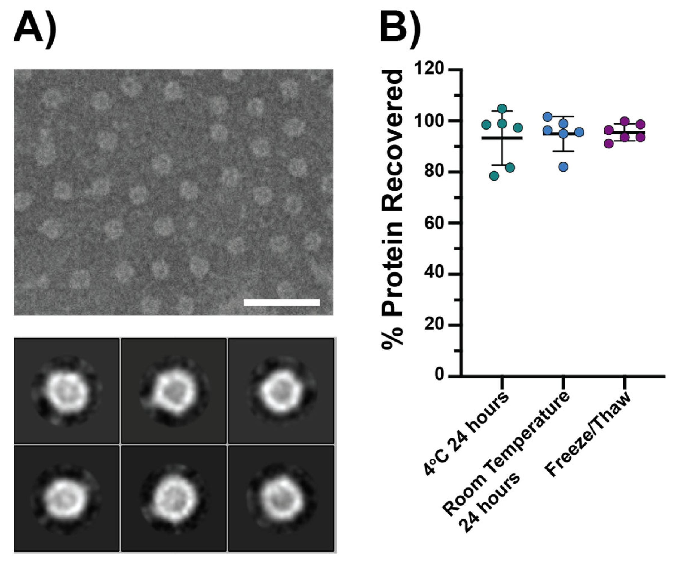 Vaccines 12 00546 g002 Vaccines 12 00546 g002
