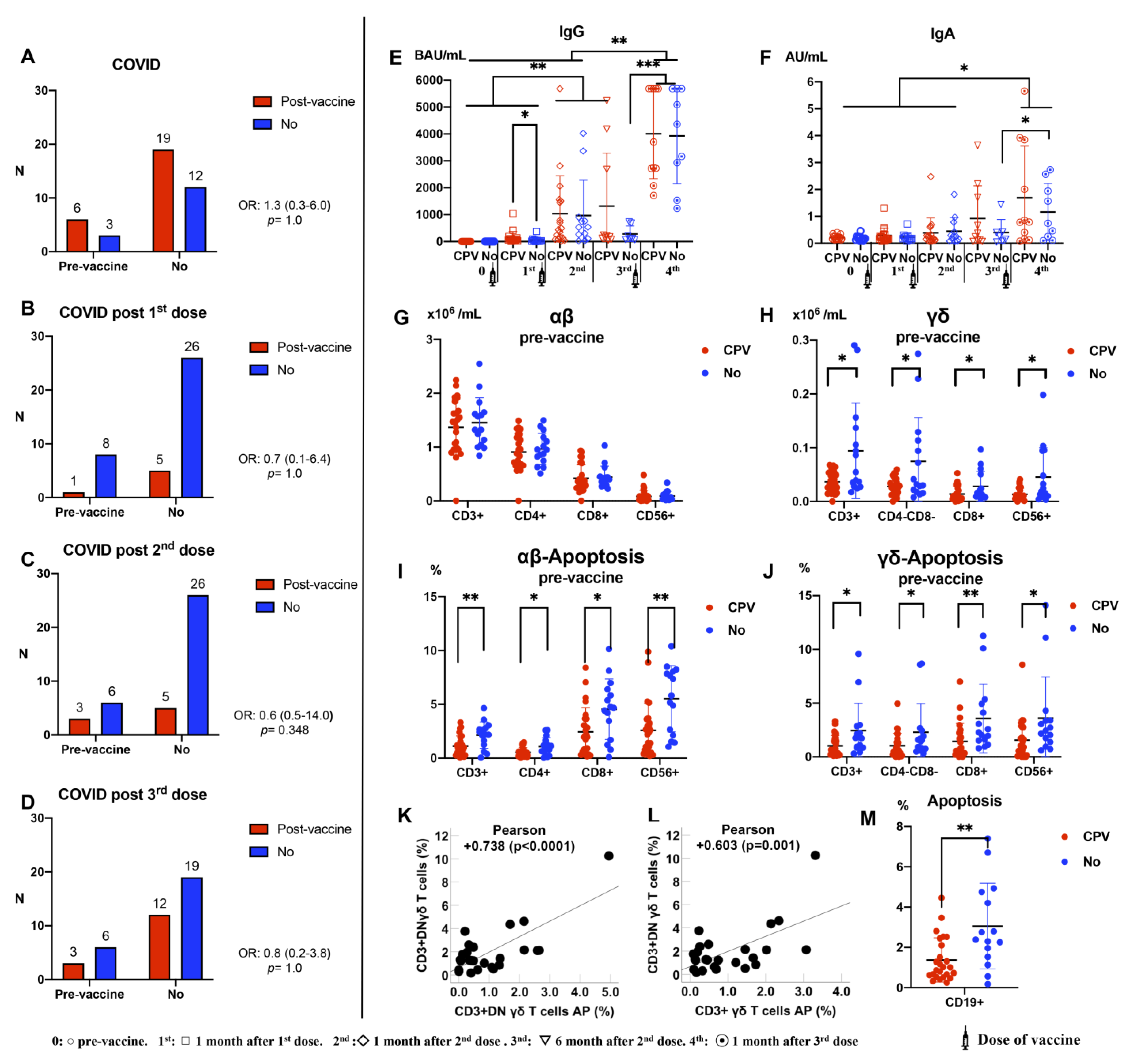 Vaccines 12 00553 g005