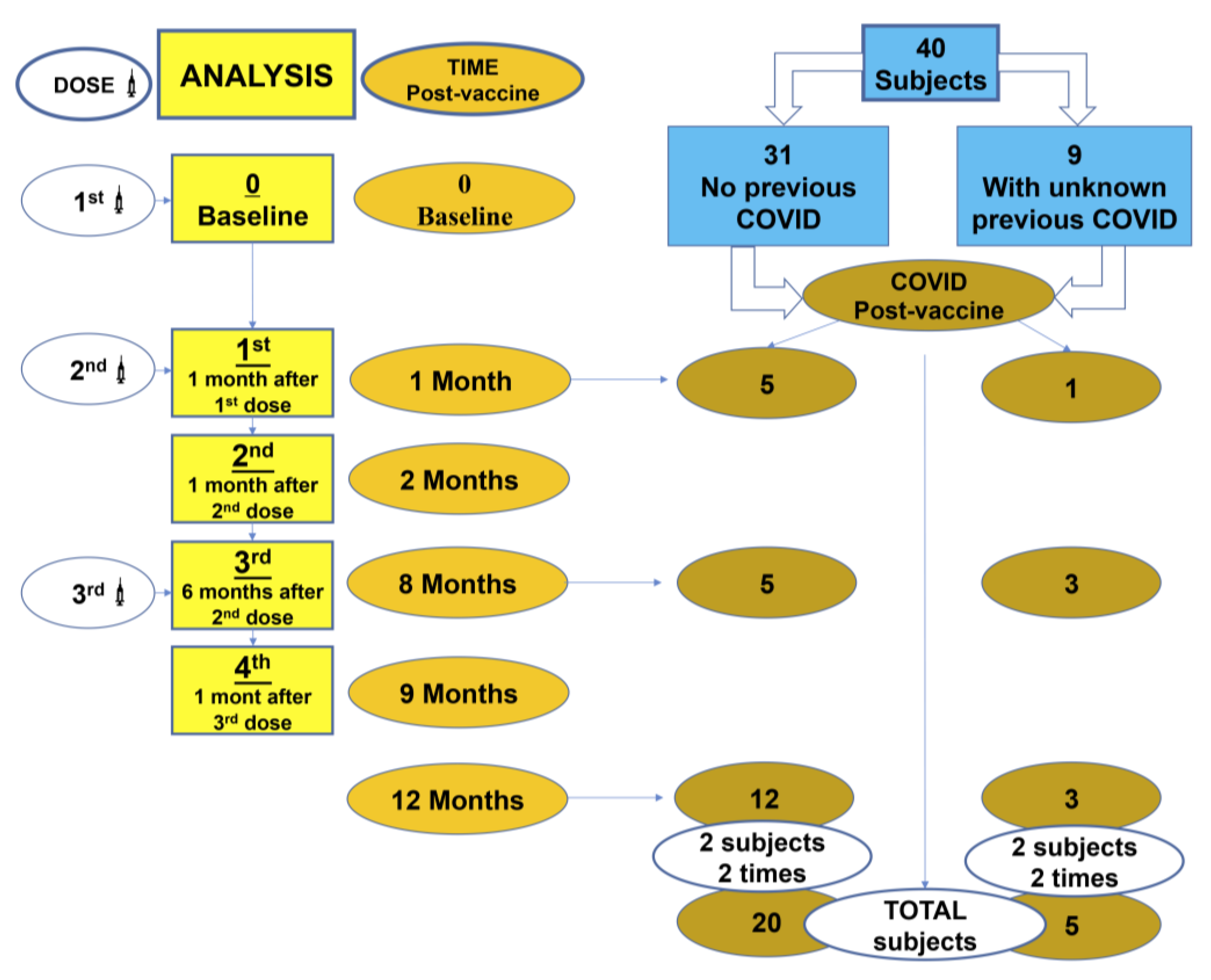 Vaccines 12 00553 sch001