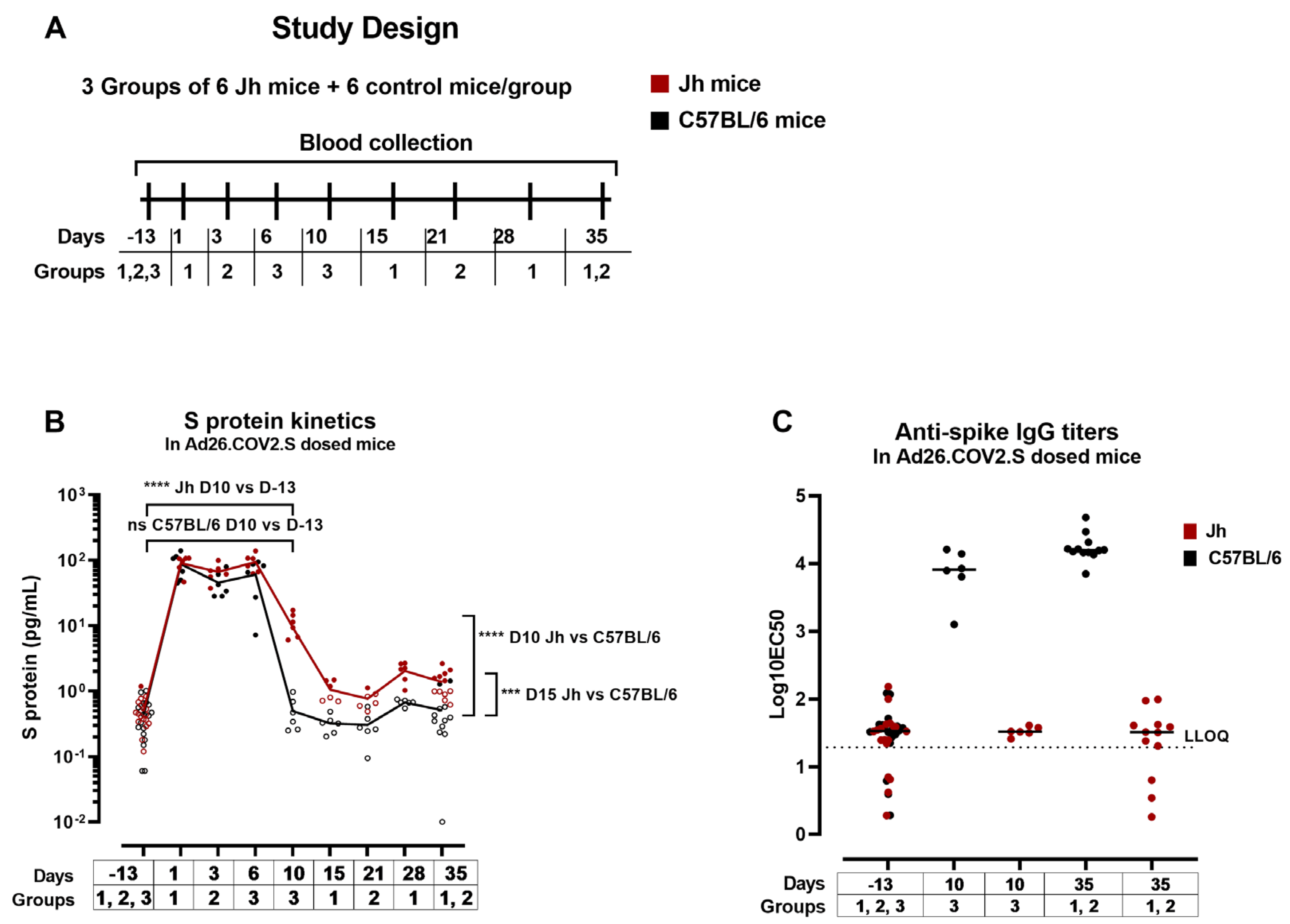 Vaccines 12 00559 g007