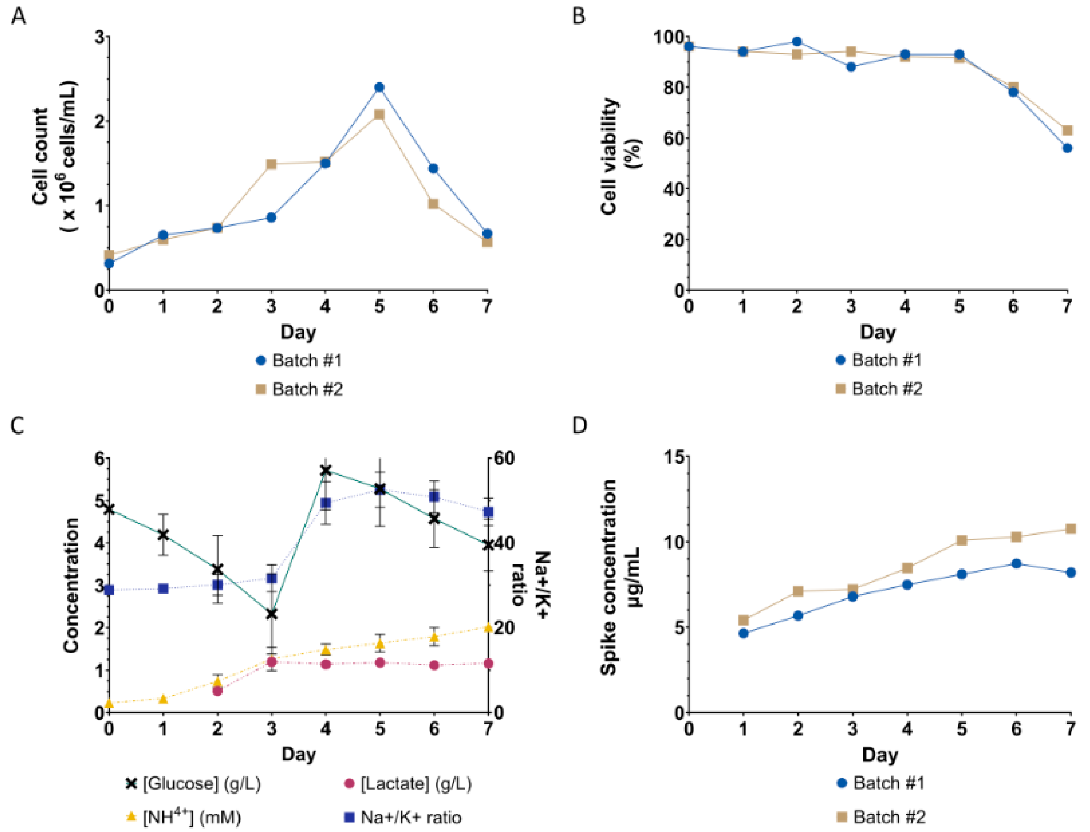 Vaccines 12 00561 g004