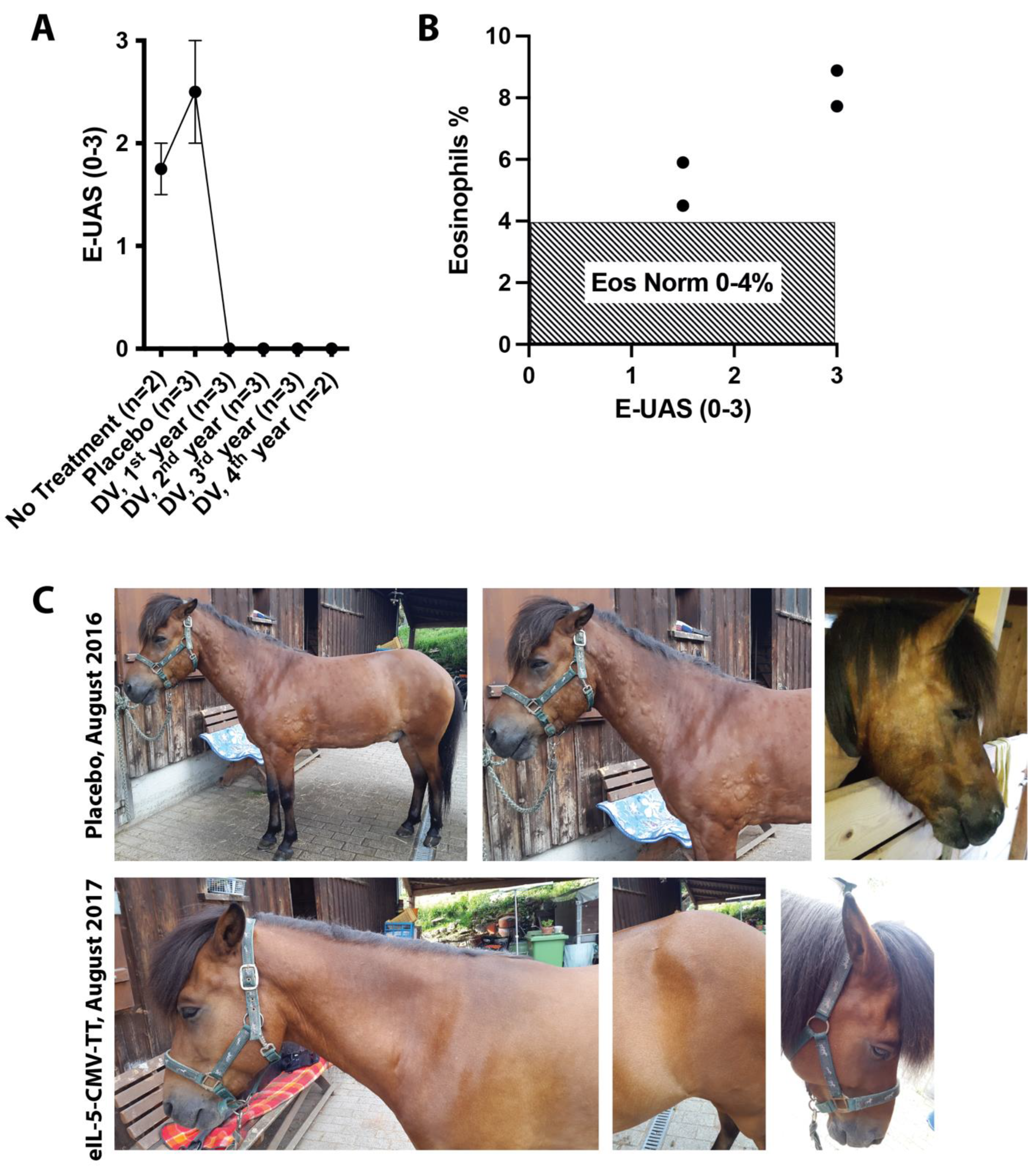 Vaccines 12 00562 g001