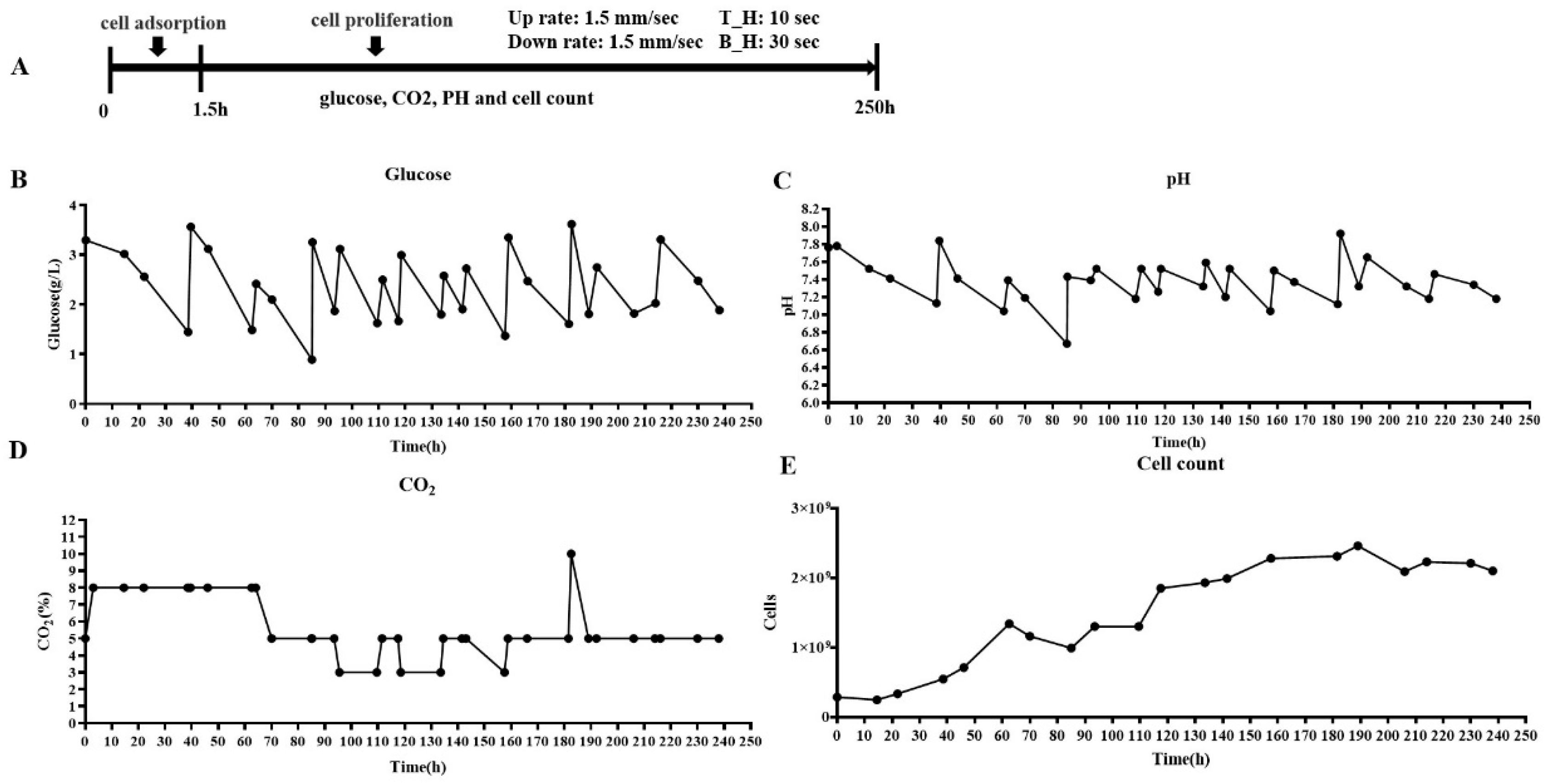 Vaccines 12 00563 g002