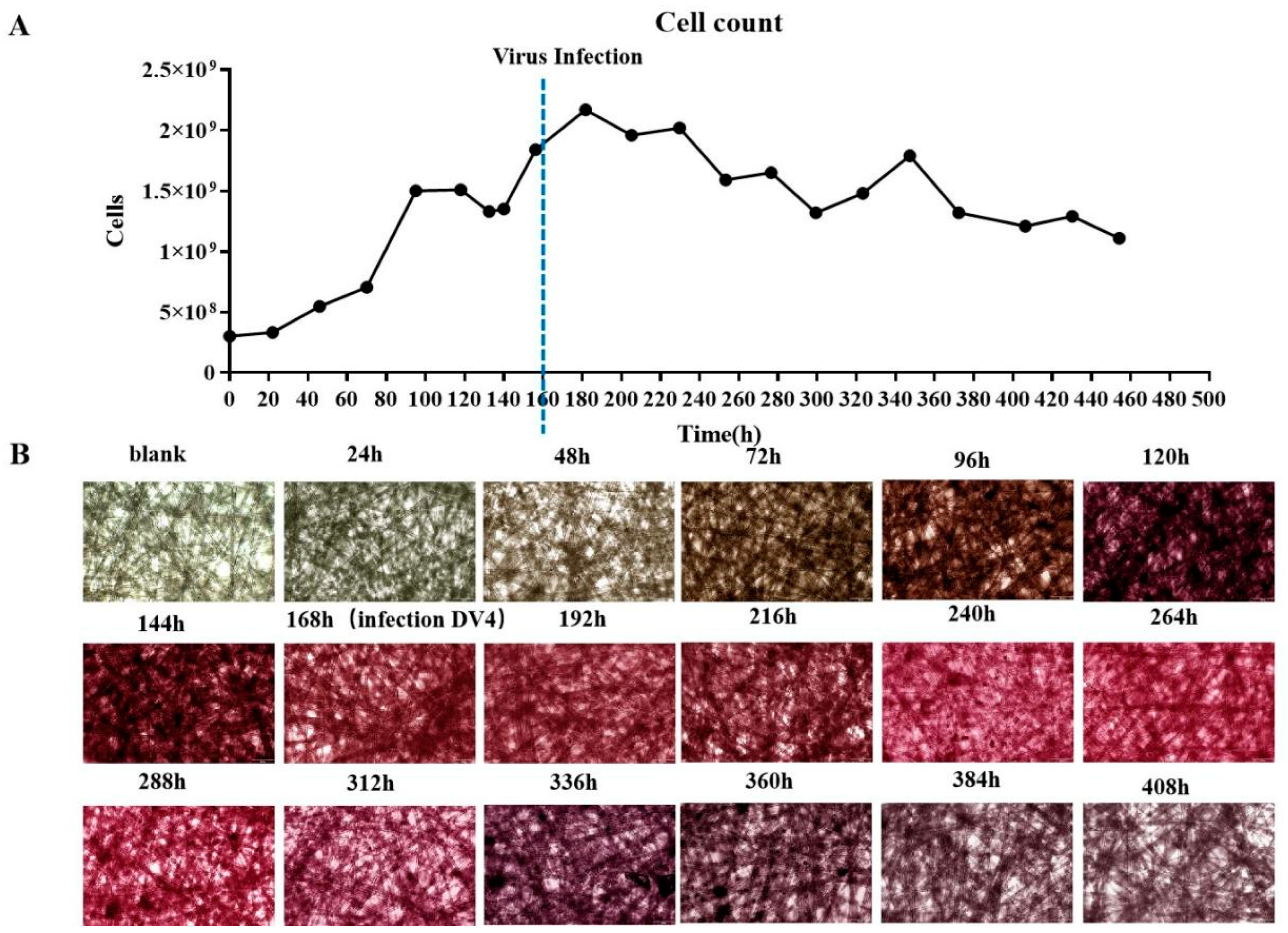 Vaccines 12 00563 g004