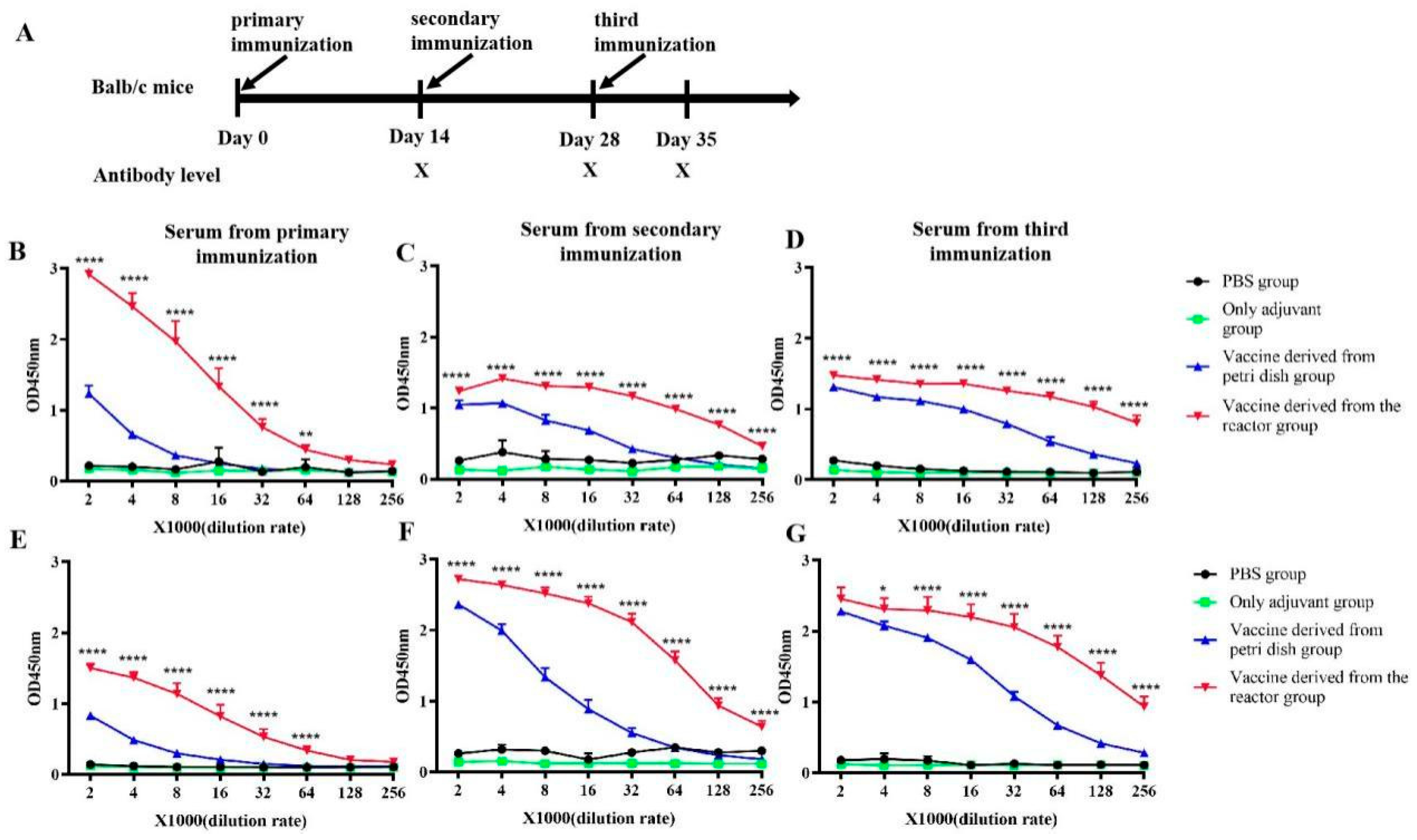 Vaccines 12 00563 g006