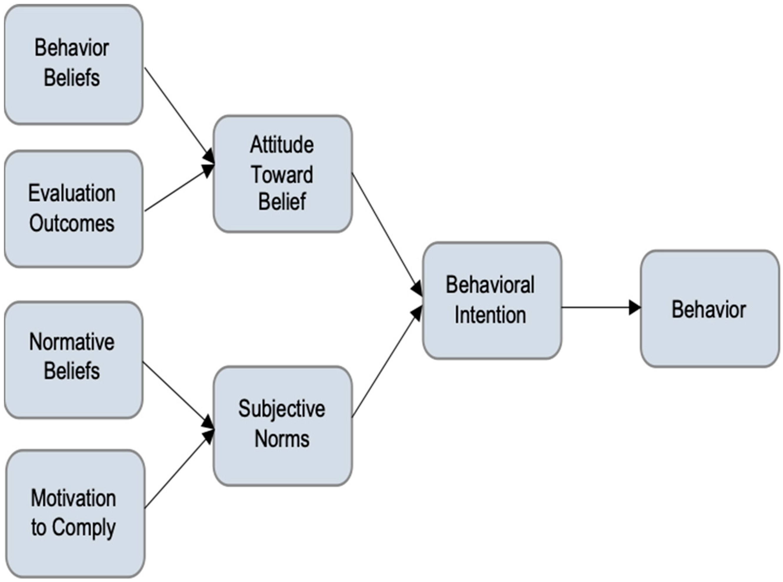 Vaccines 12 00571 g001