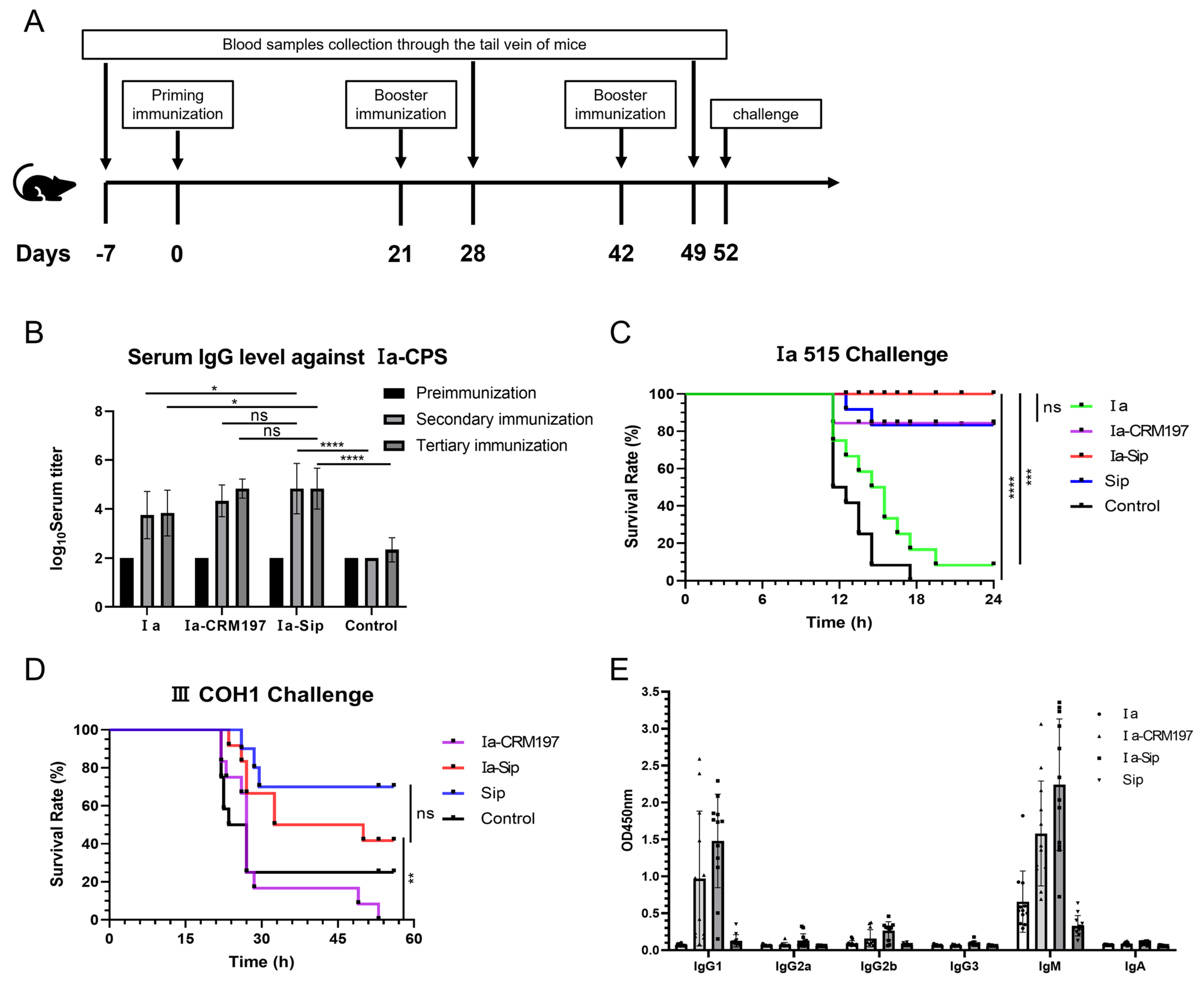 Vaccines 12 00573 g005
