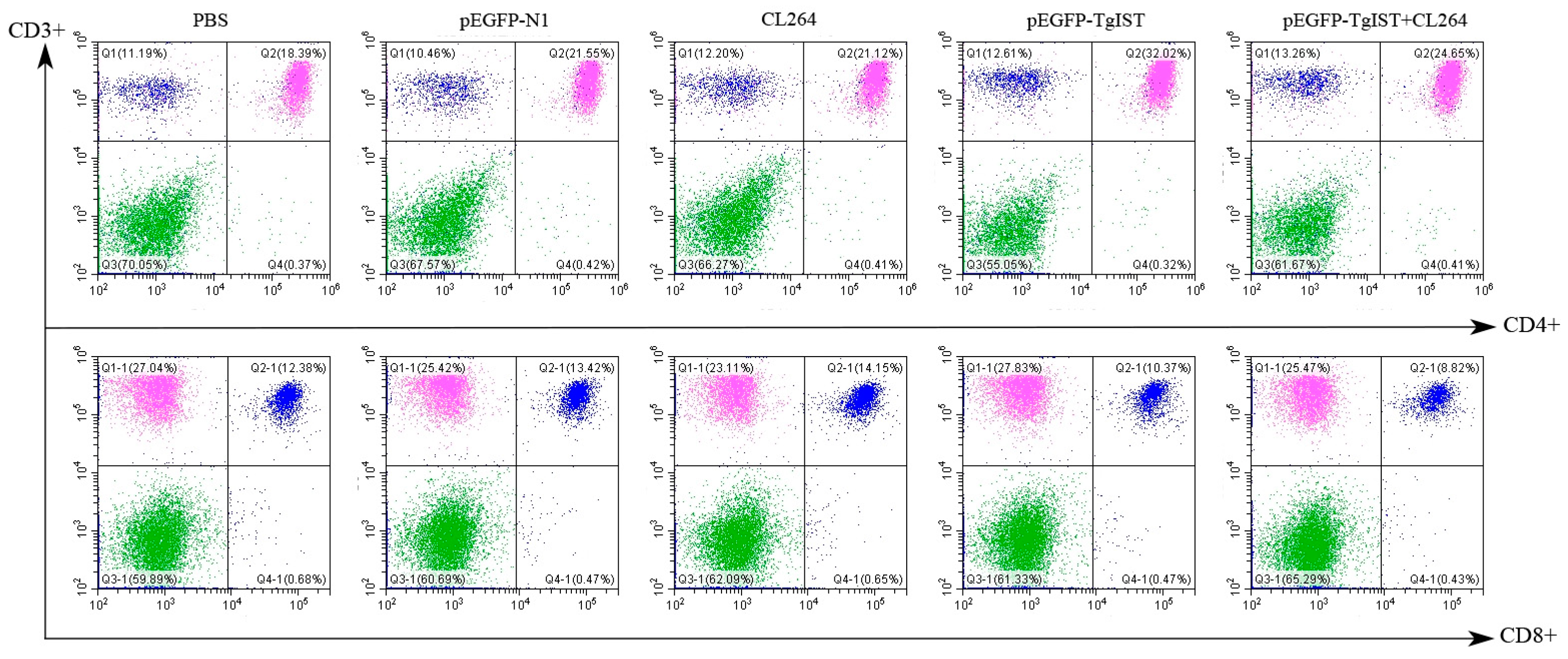 Vaccines 12 00577 g004