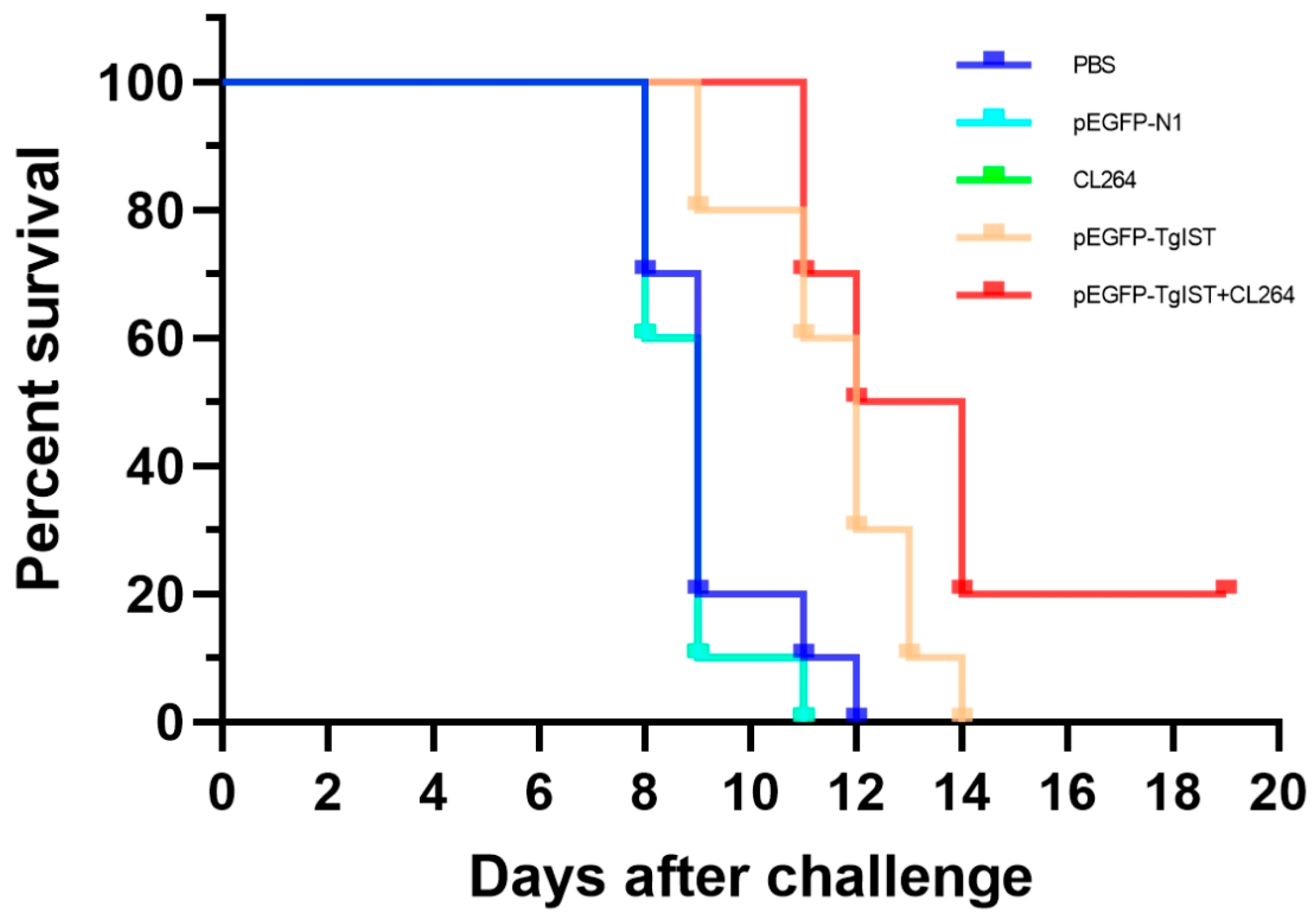 Vaccines 12 00577 g005