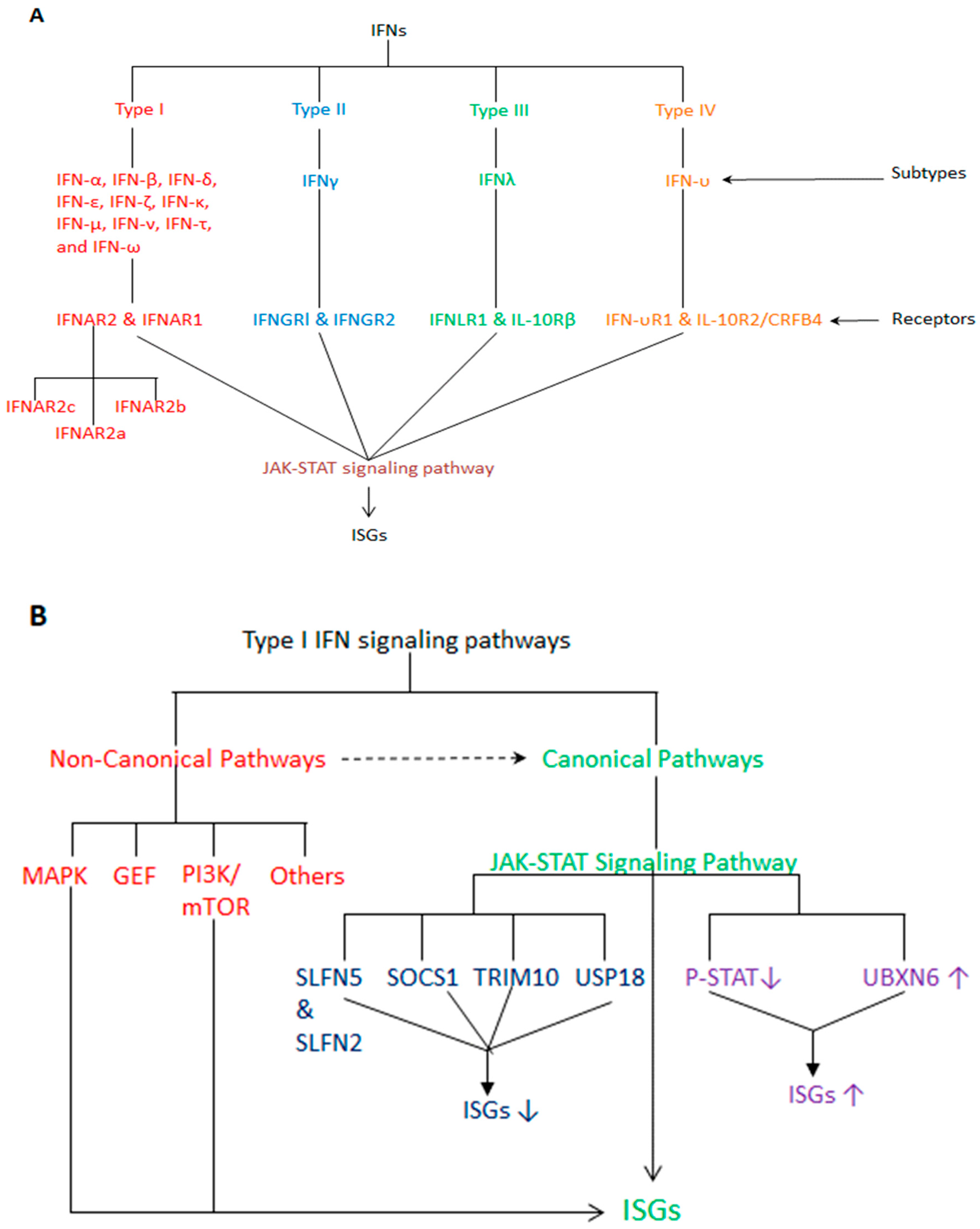 Vaccines 12 00583 g001