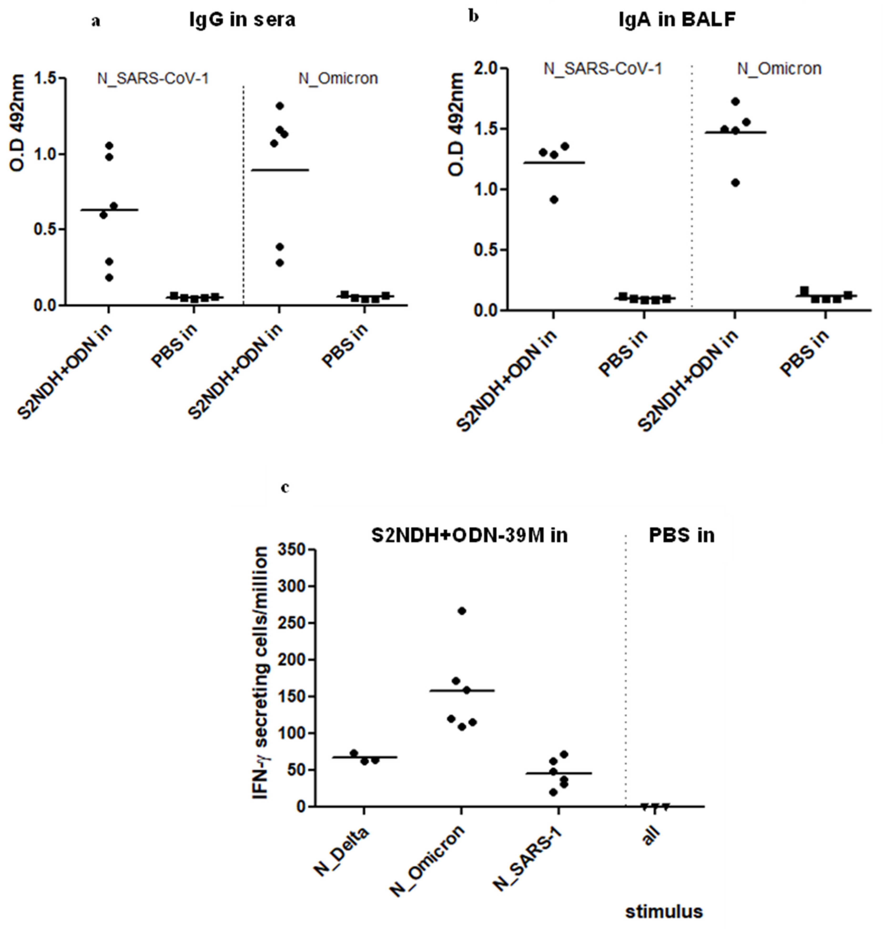 Vaccines 12 00588 g004
