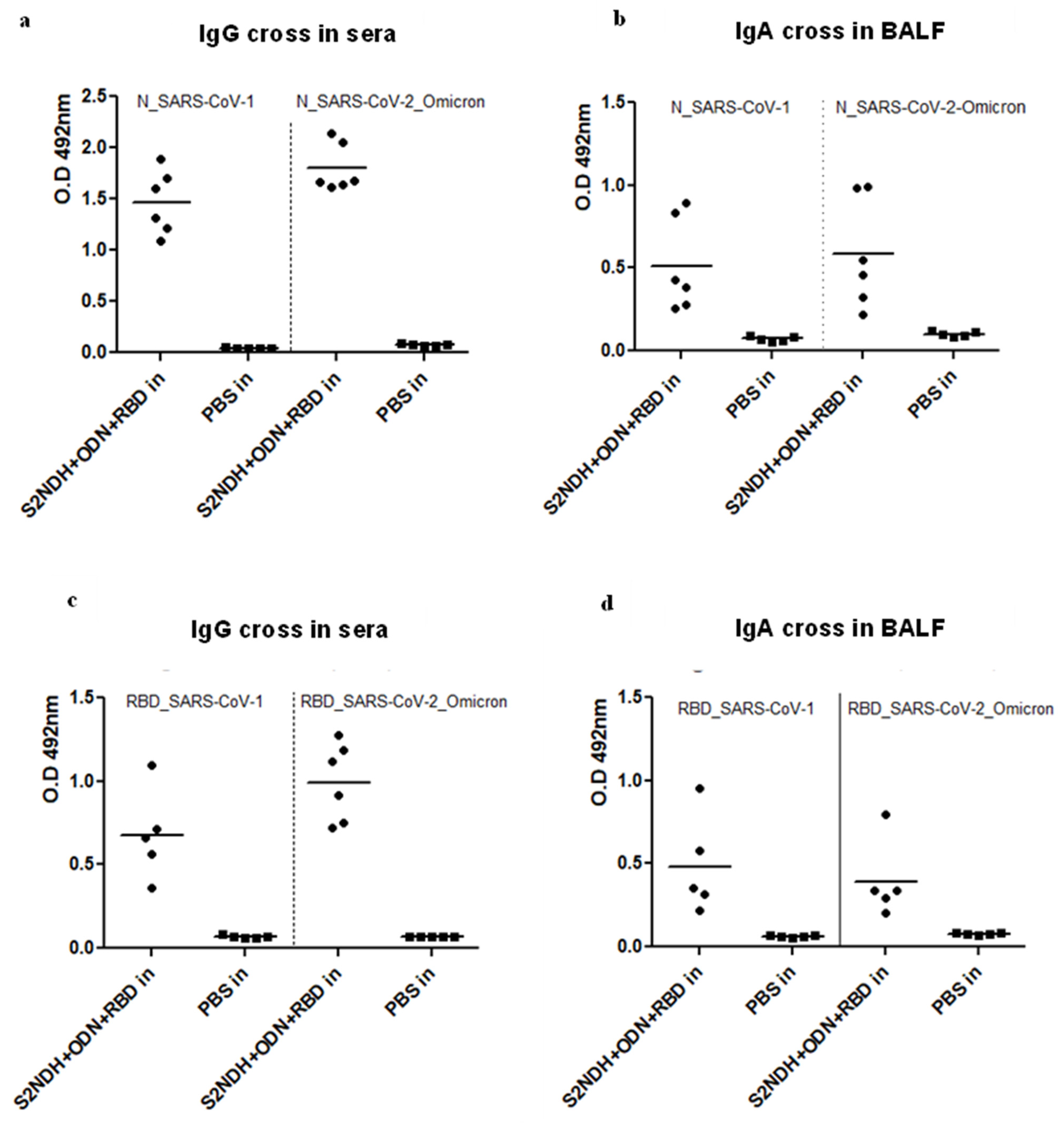 Vaccines 12 00588 g006