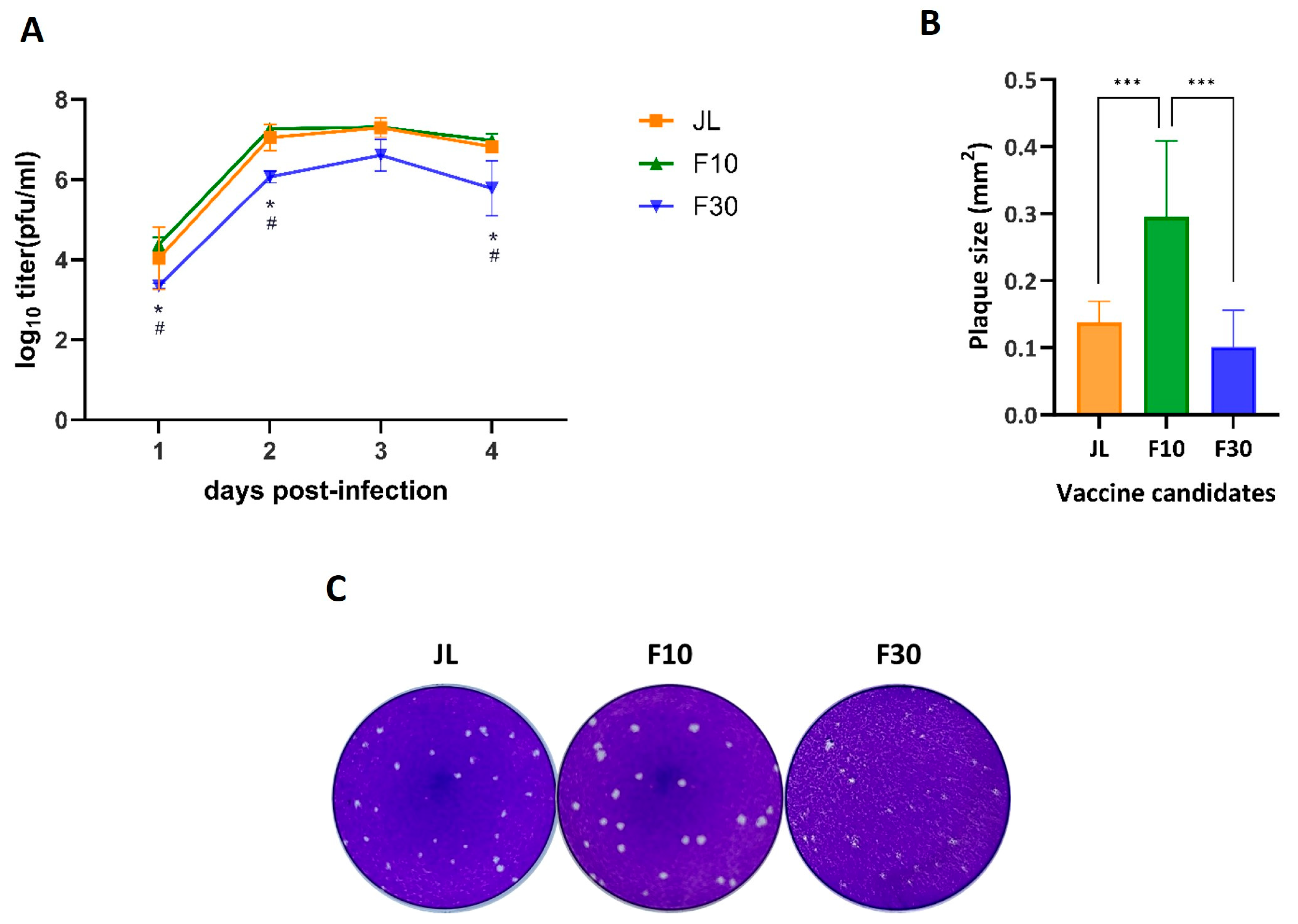 Vaccines 12 00595 g001