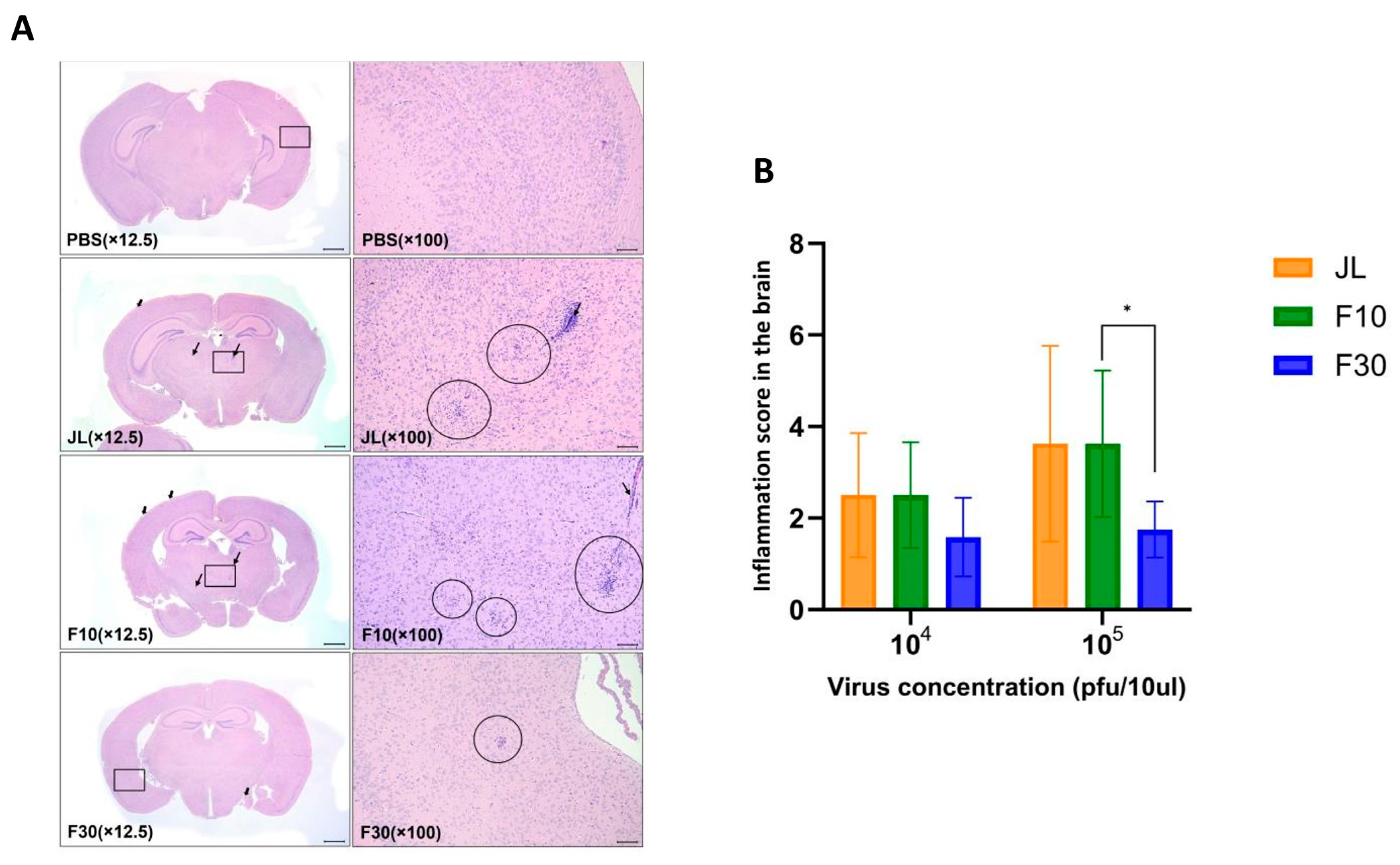 Vaccines 12 00595 g002