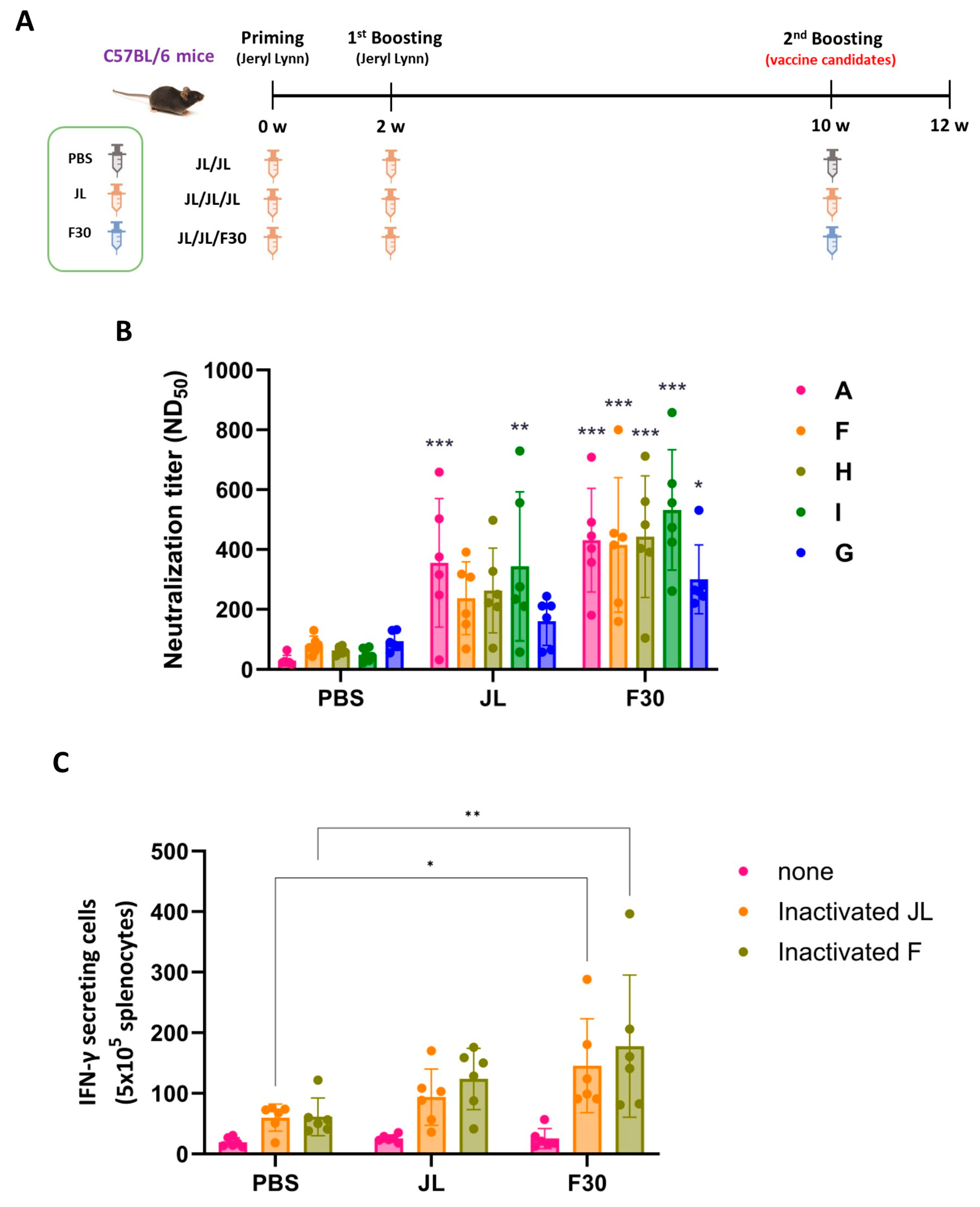 Vaccines 12 00595 g004