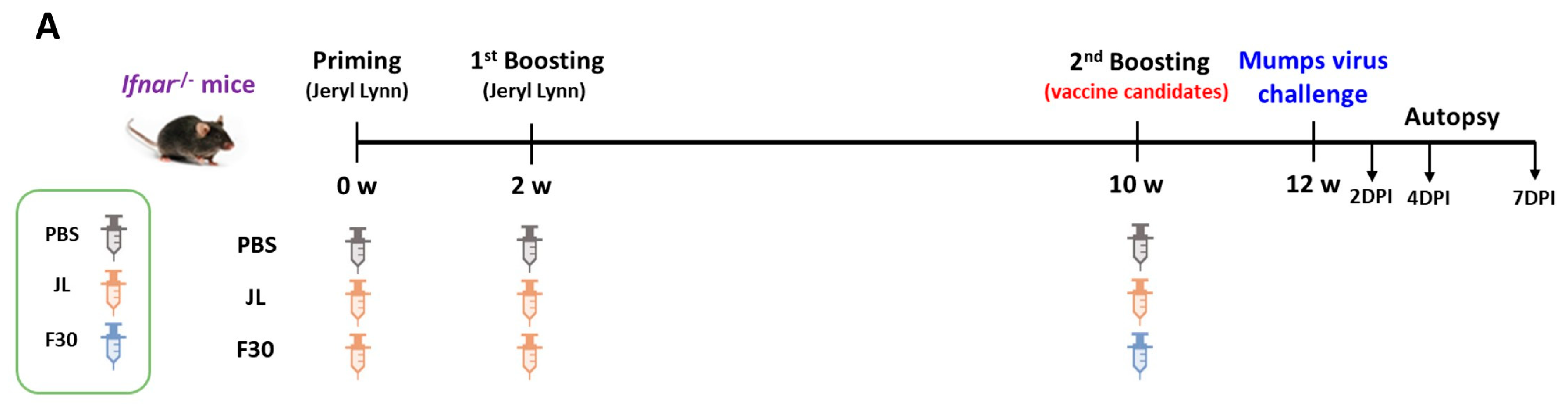 Vaccines 12 00595 g005a