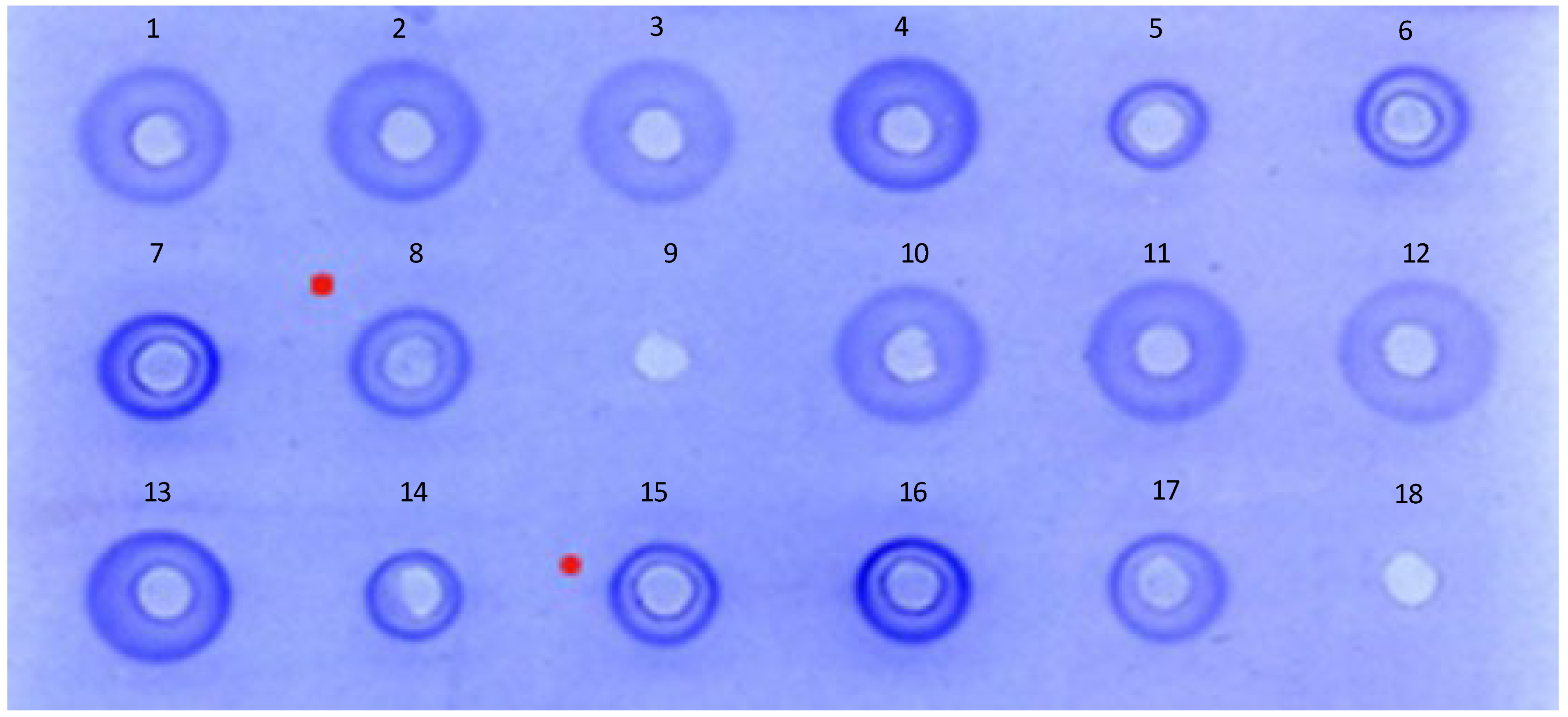 Vaccines 12 00596 g001