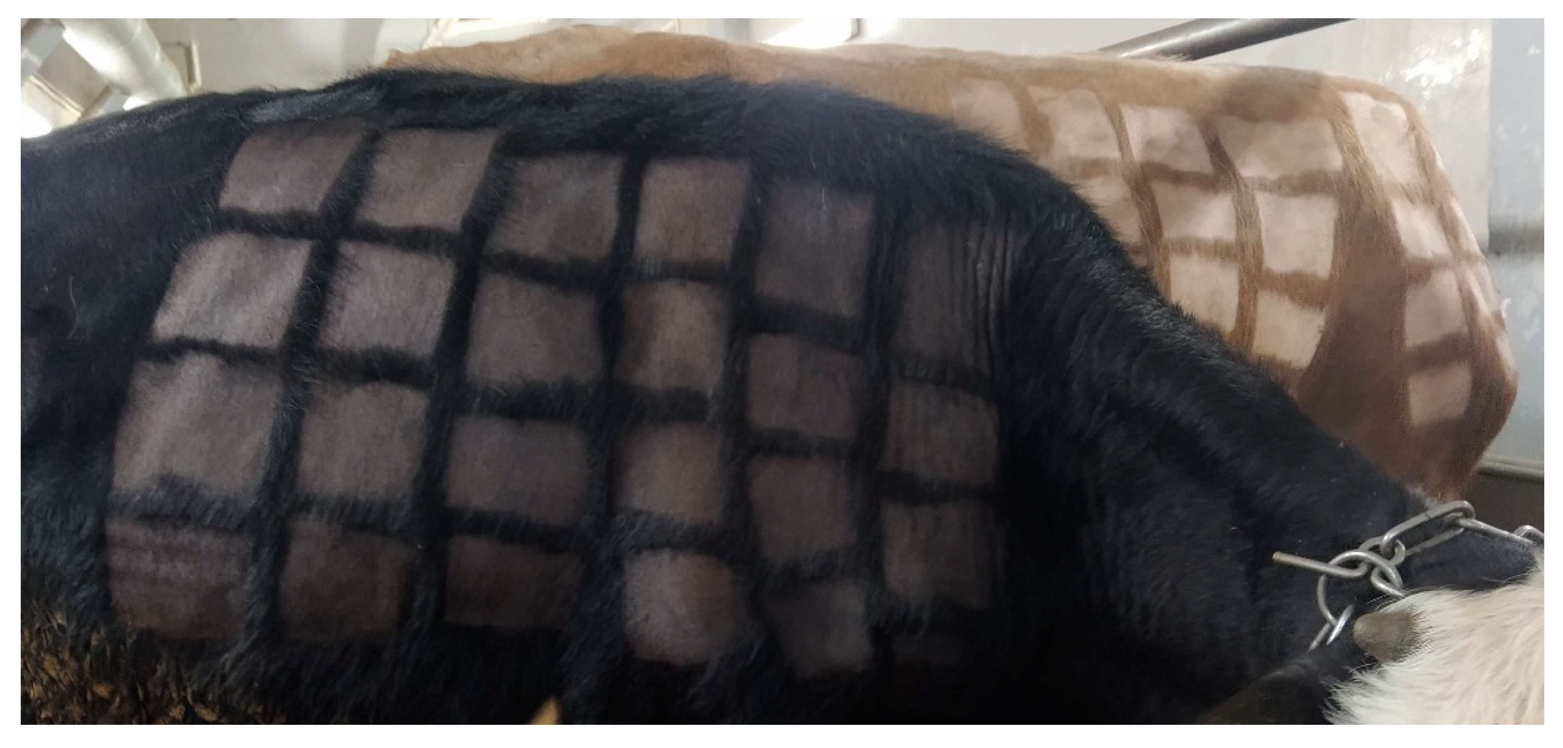 Vaccines 12 00598 g001