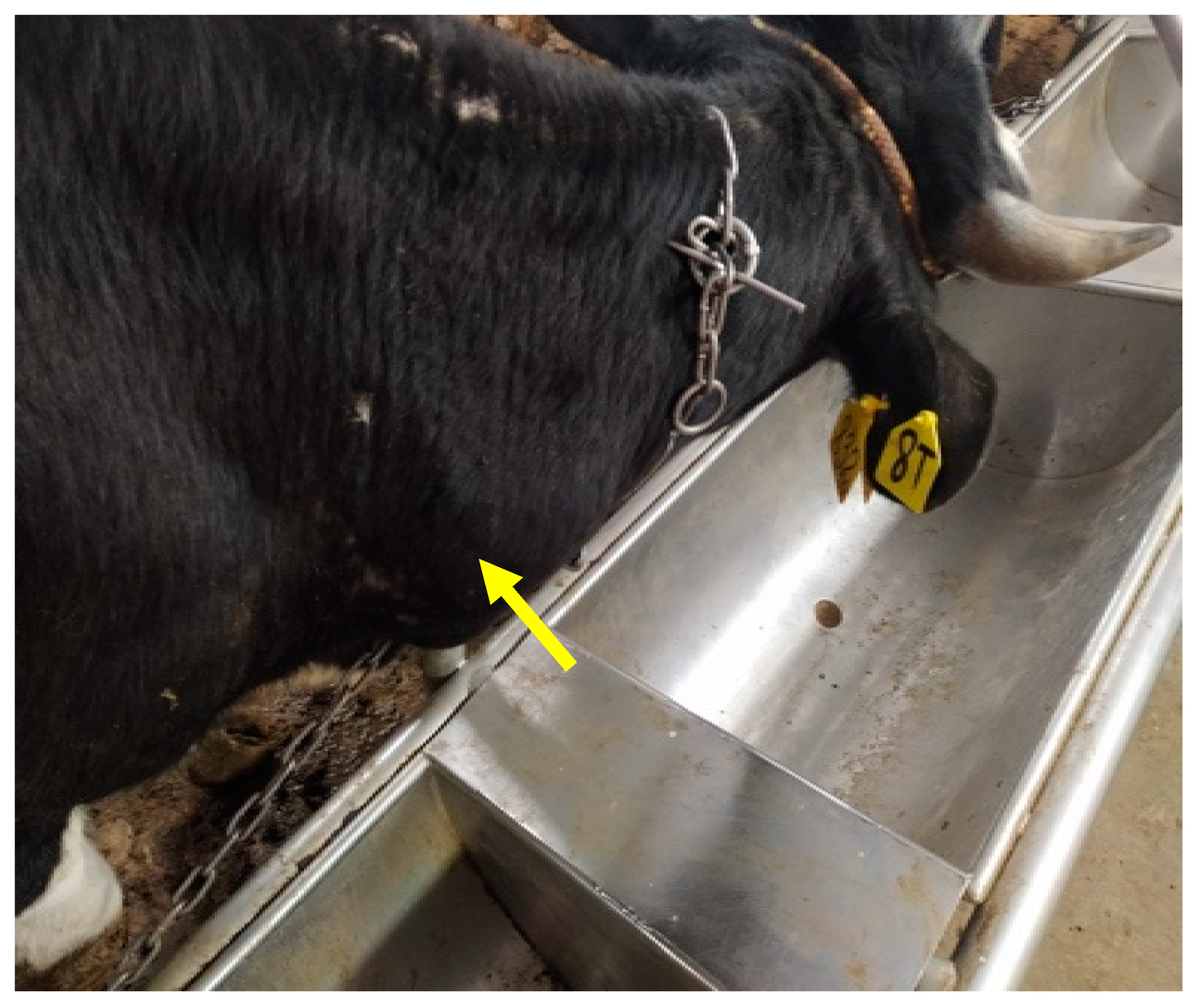 Vaccines 12 00598 g002