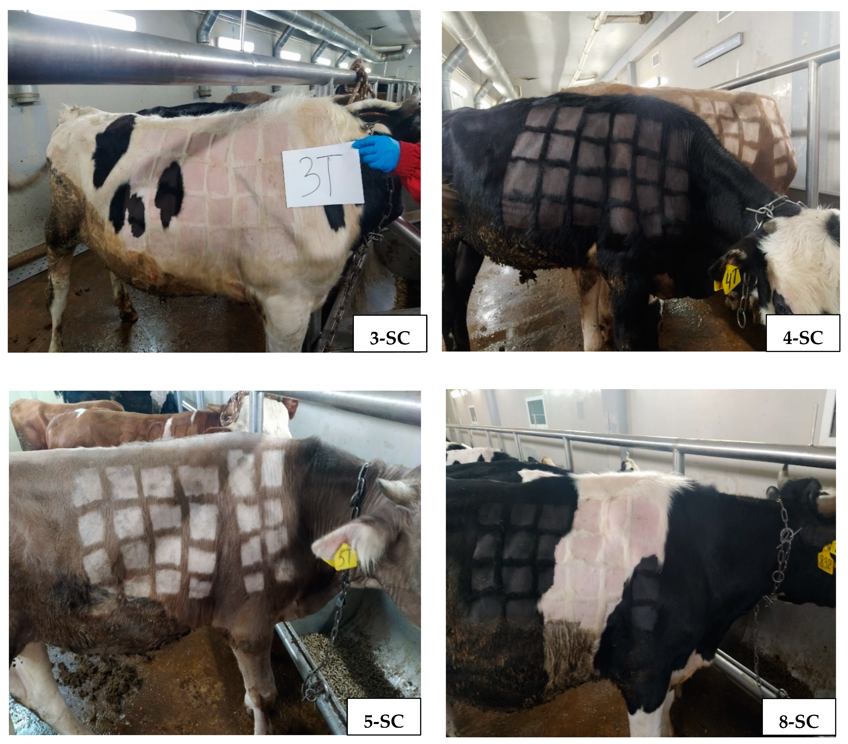 Vaccines 12 00598 g003