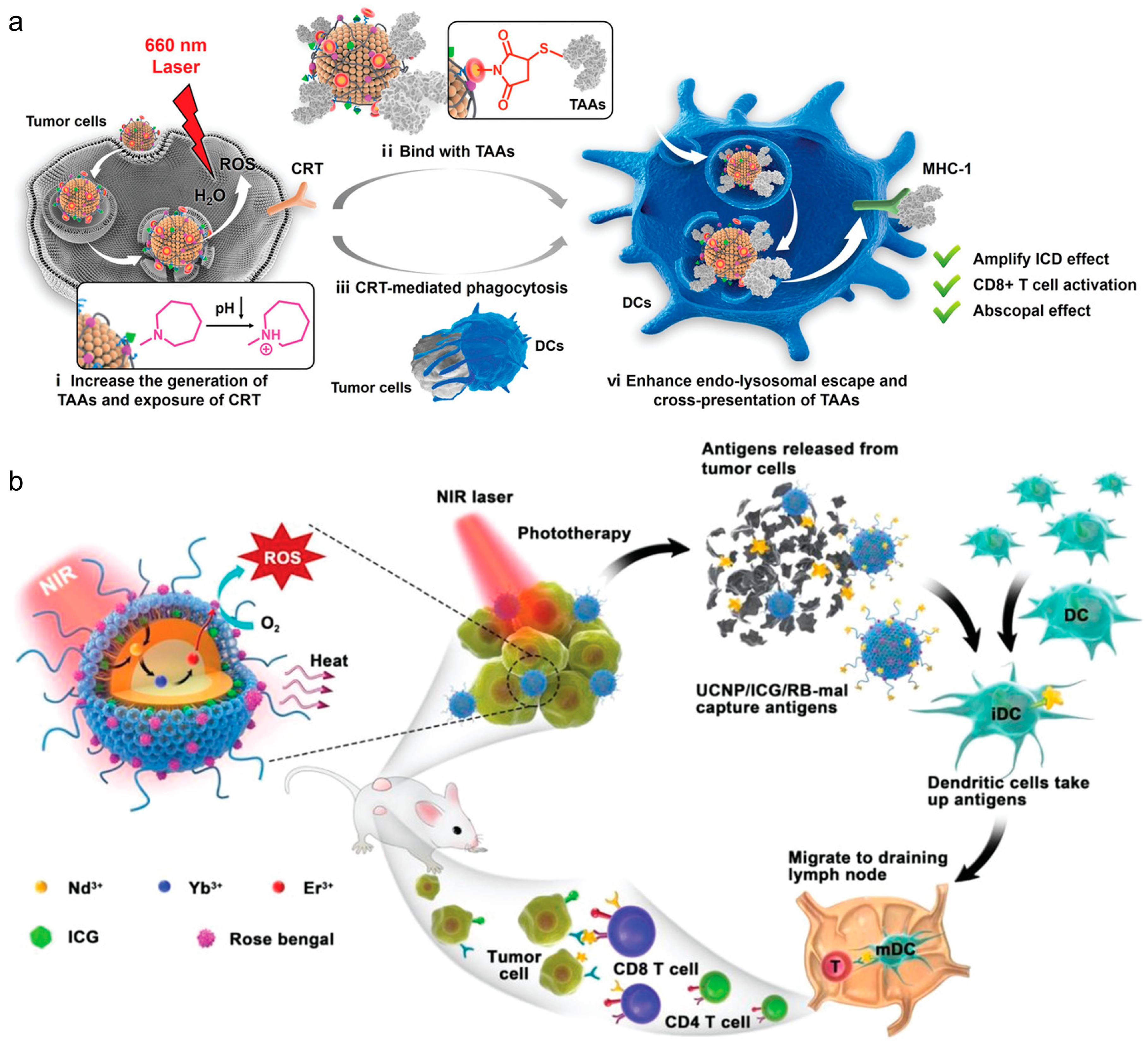 Vaccines 12 00603 g003