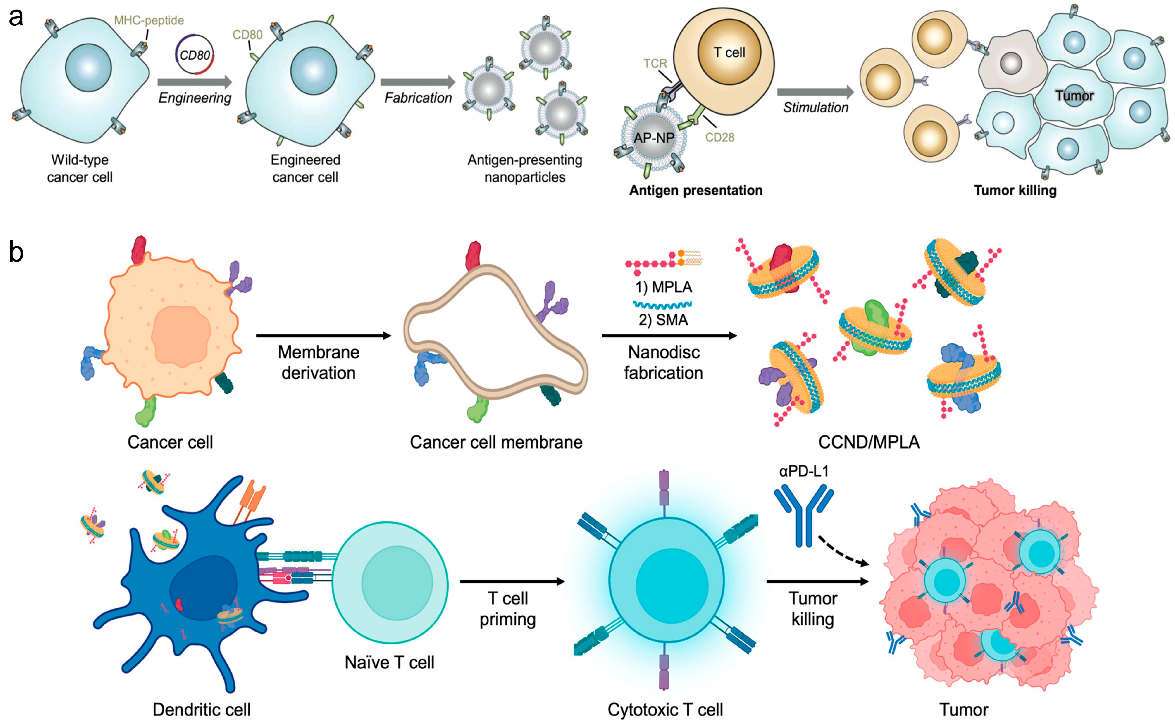 Vaccines 12 00603 g005