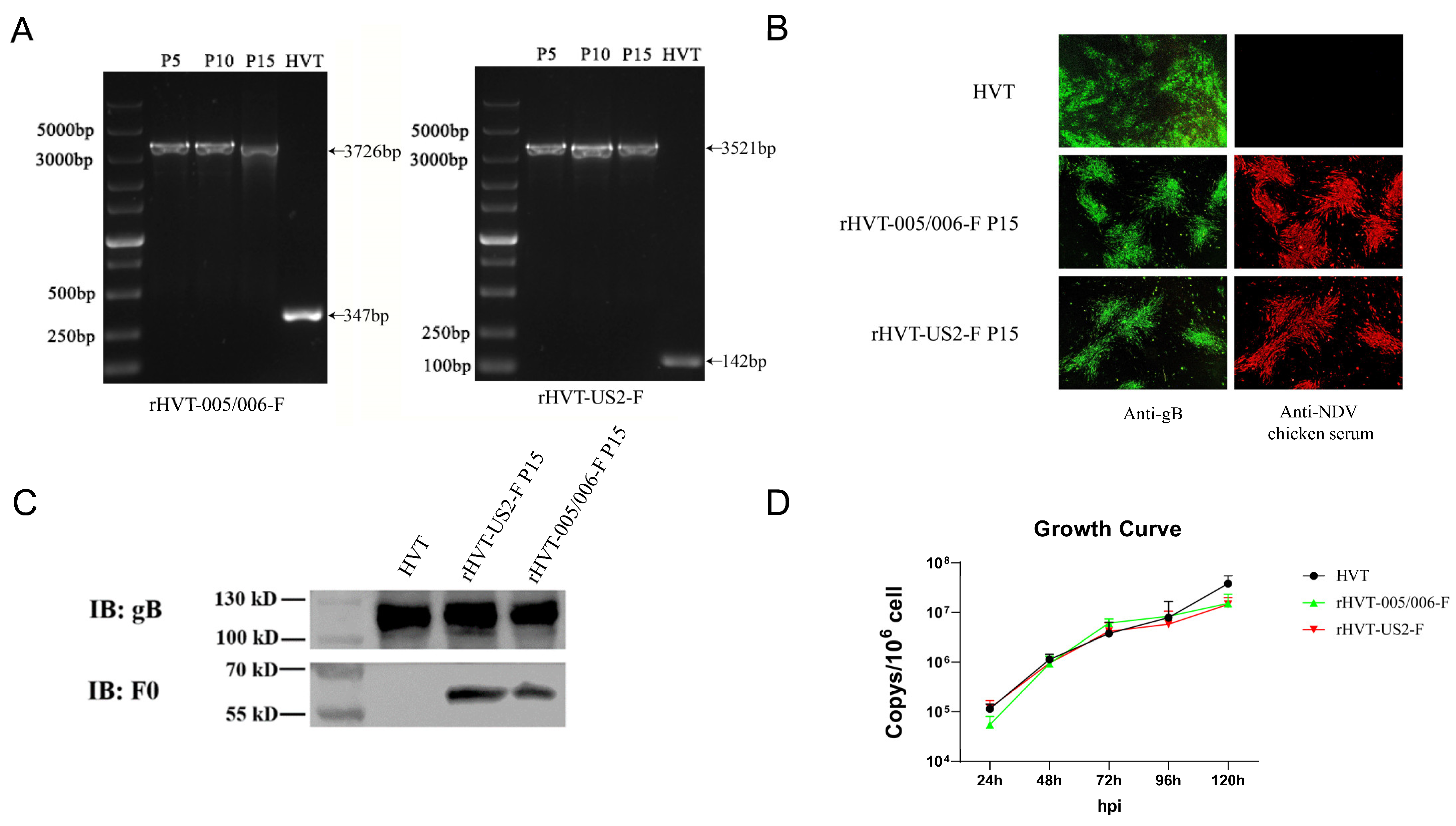 Vaccines 12 00604 g002