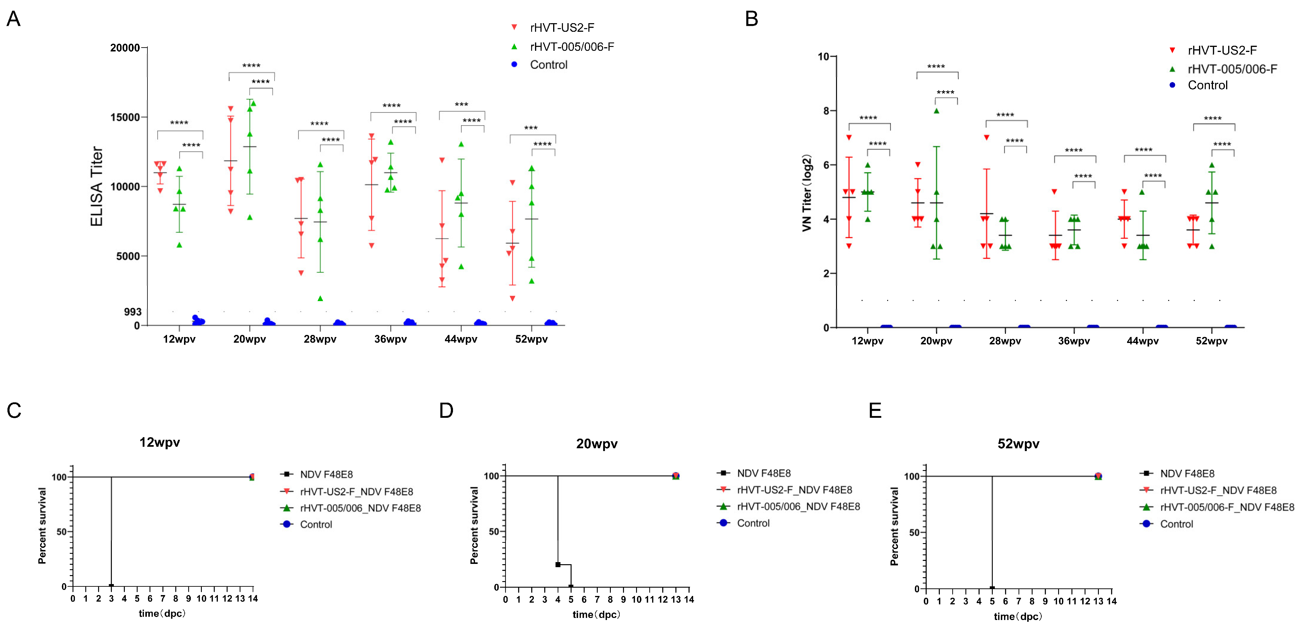 Vaccines 12 00604 g004