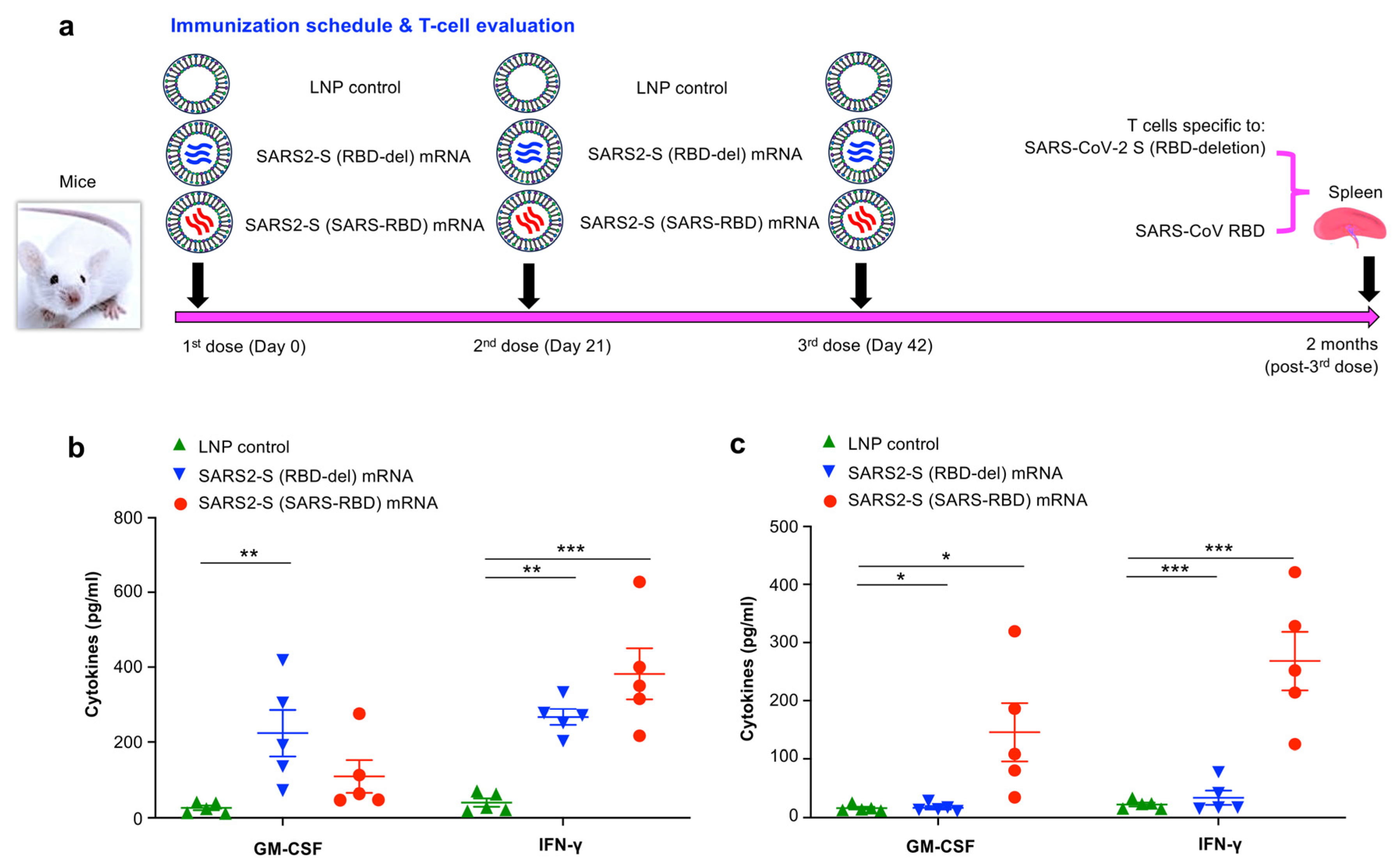 Vaccines 12 00605 g003