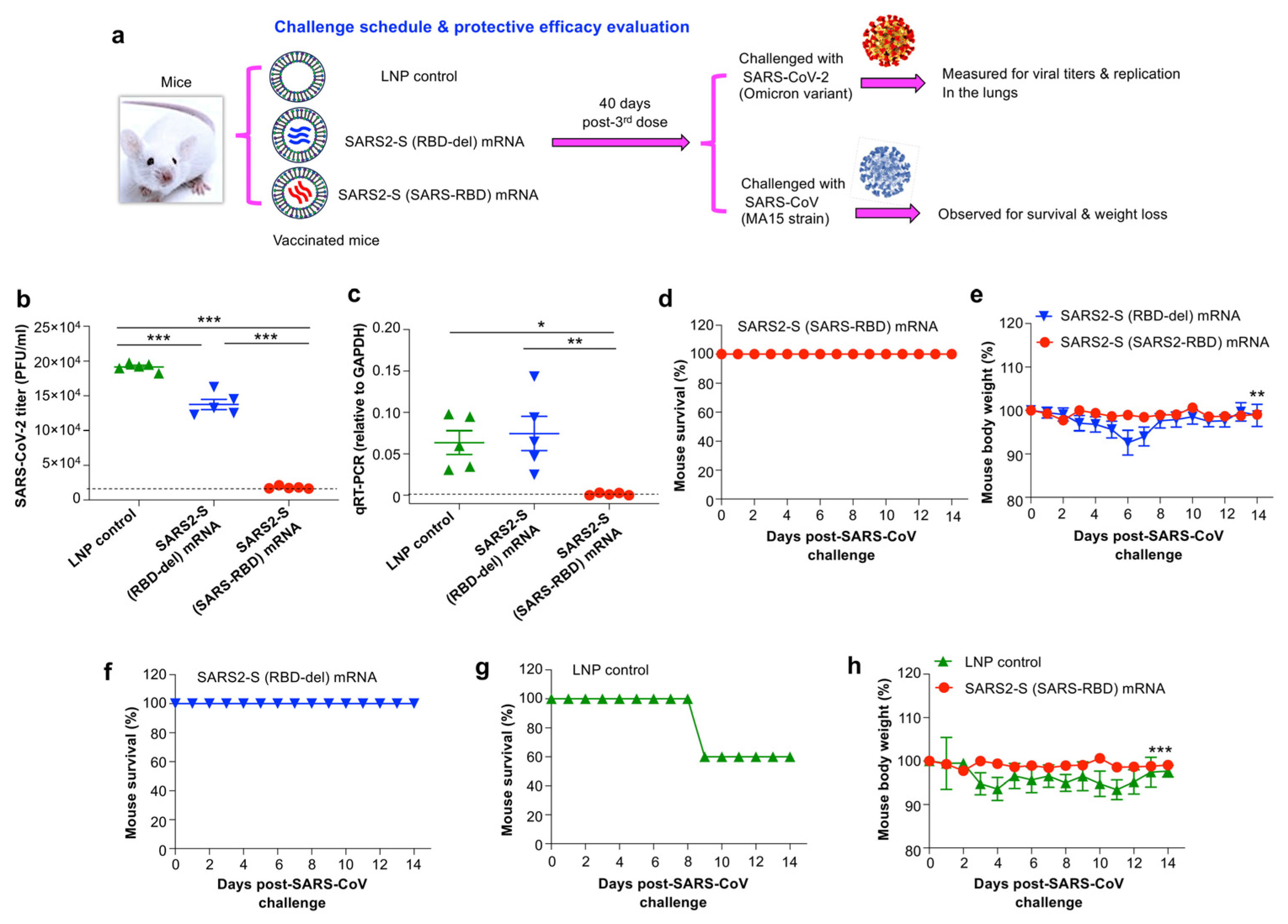 Vaccines 12 00605 g004