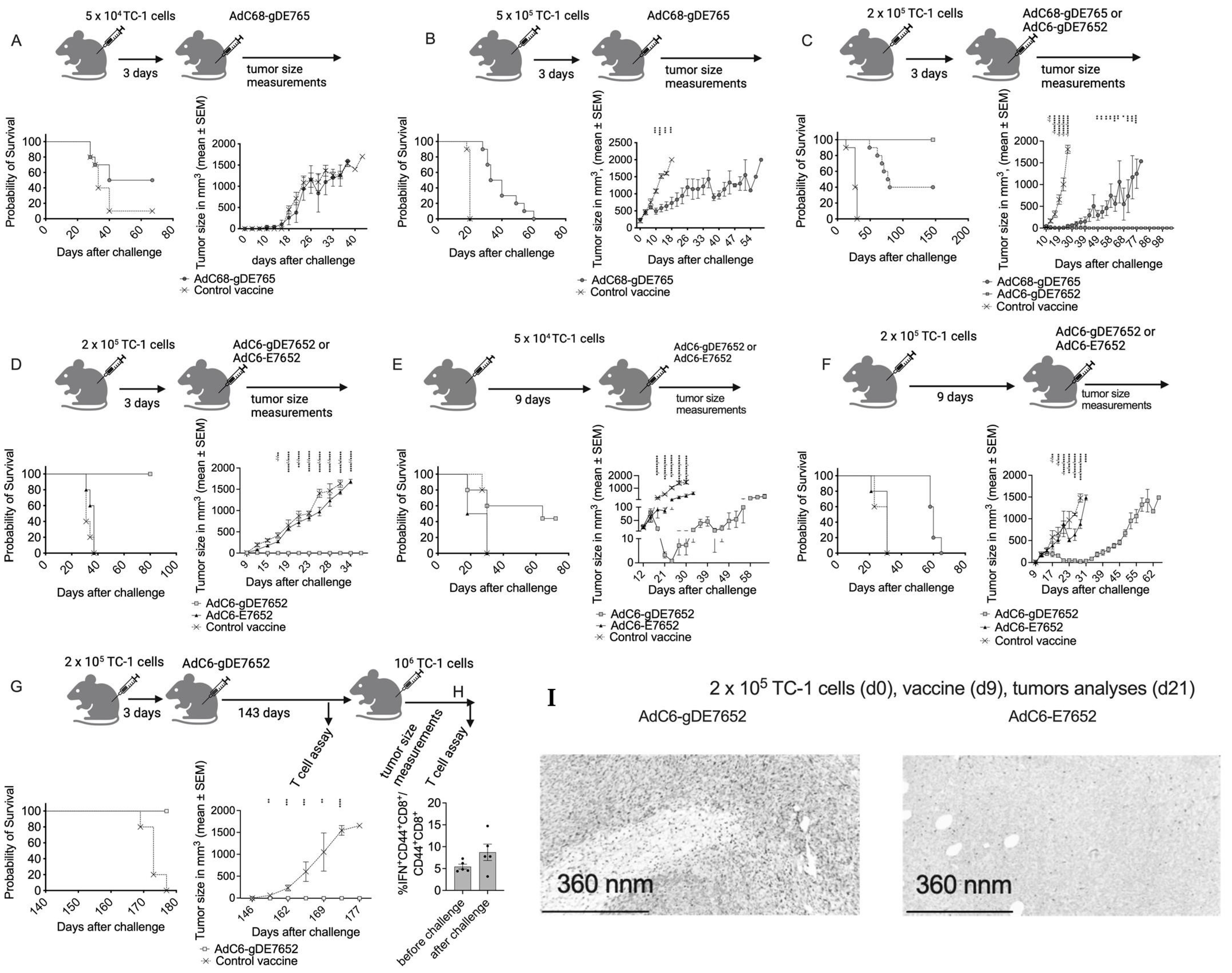 Vaccines 12 00616 g003