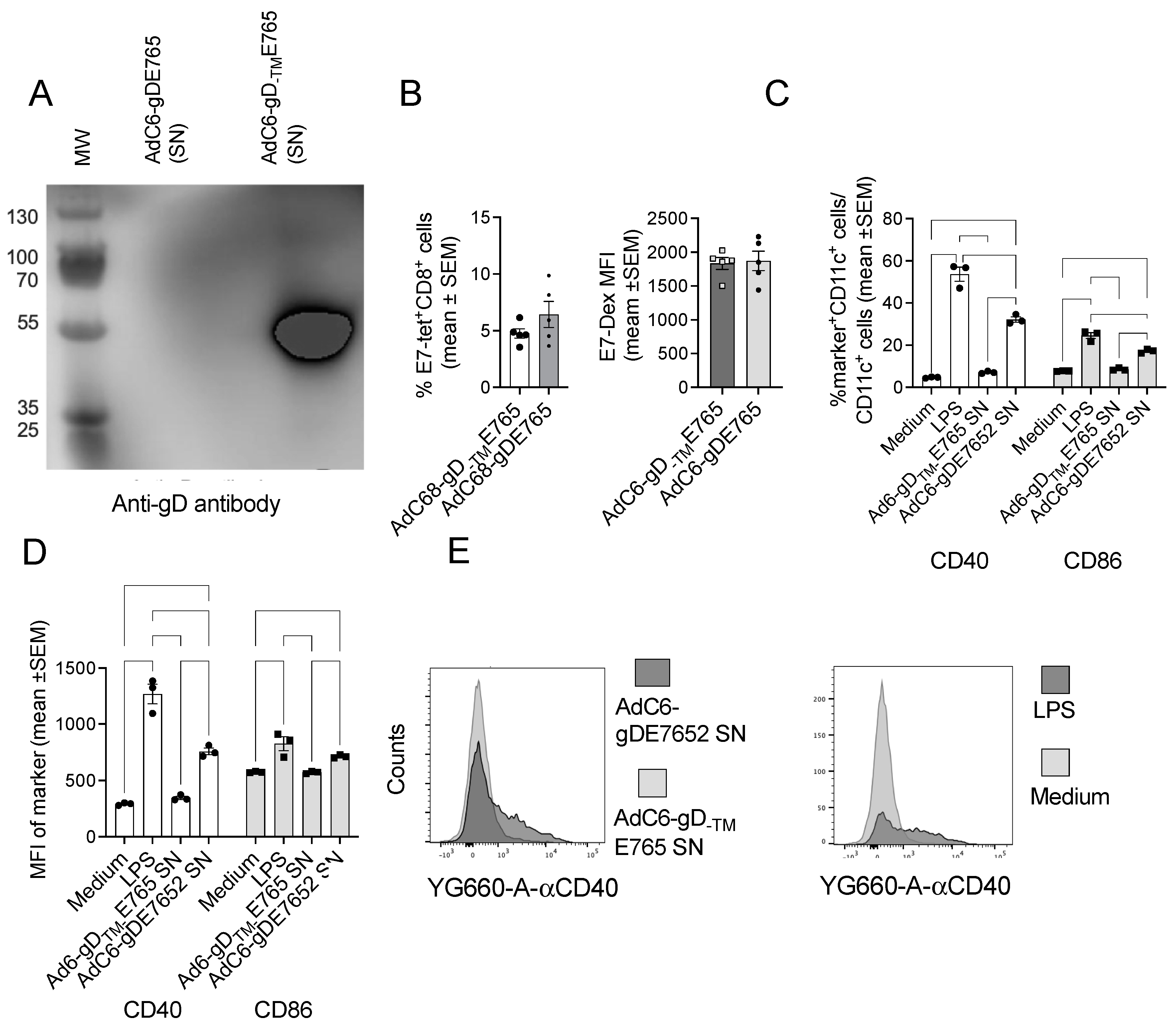 Vaccines 12 00616 g006