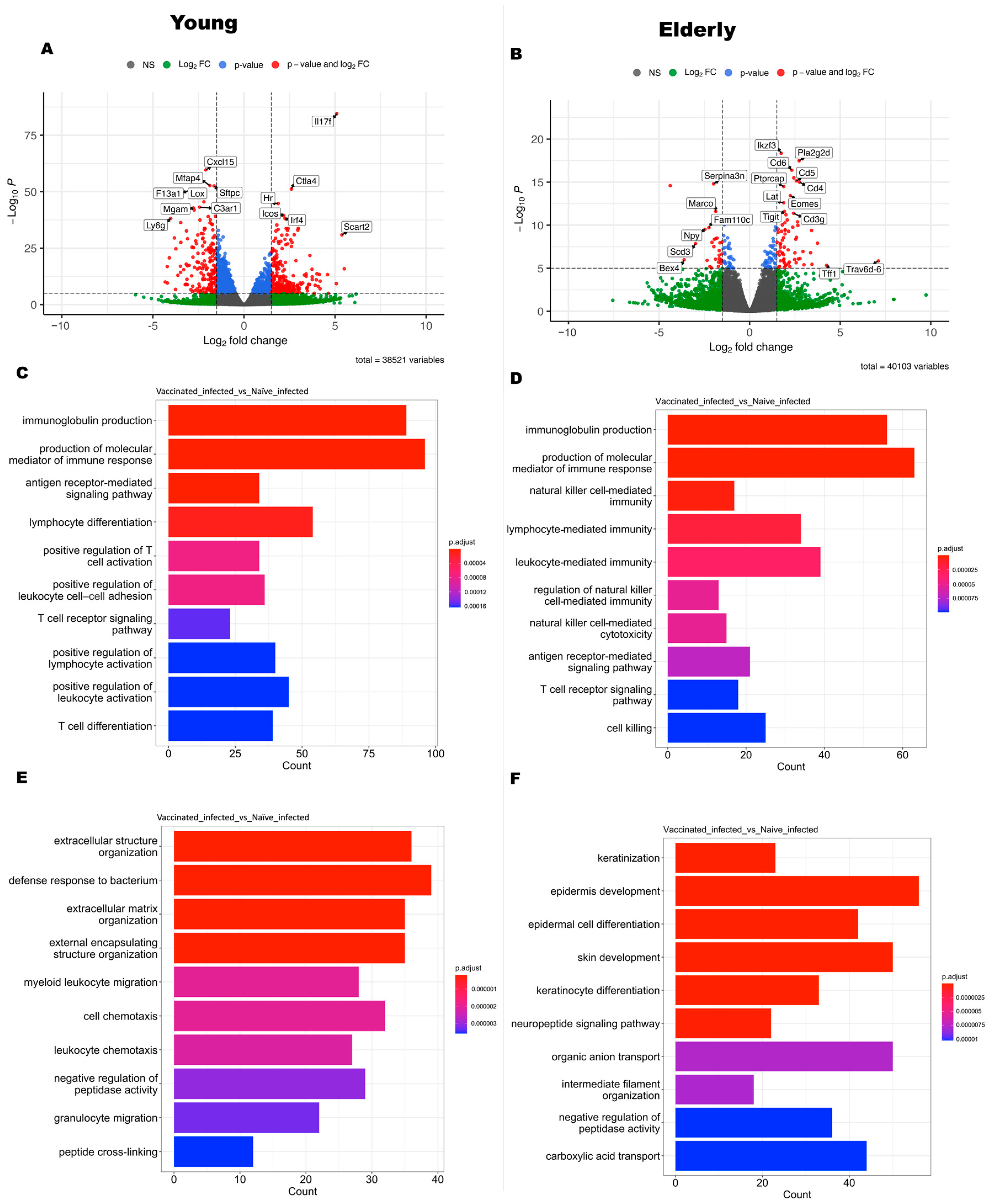 Vaccines 12 00618 g005