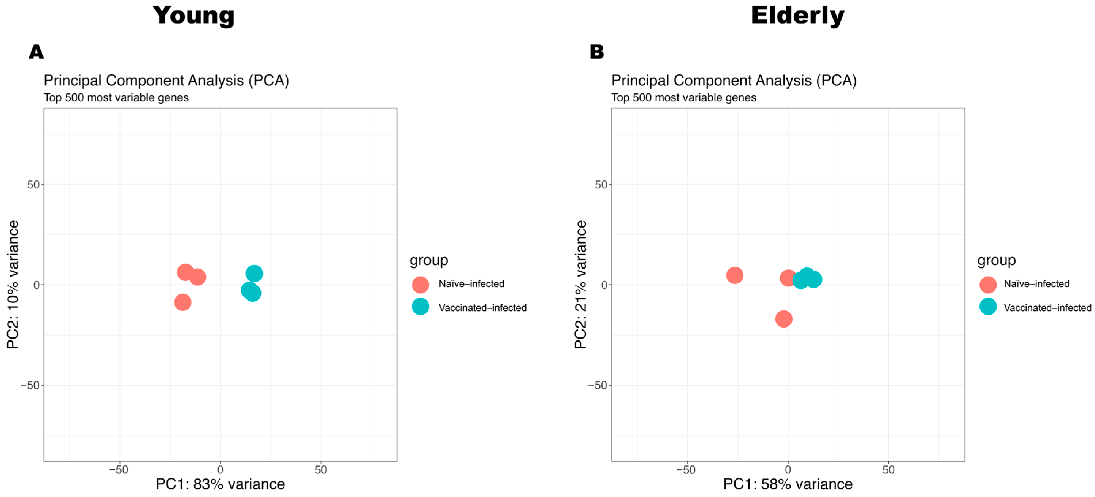 Vaccines 12 00618 g006
