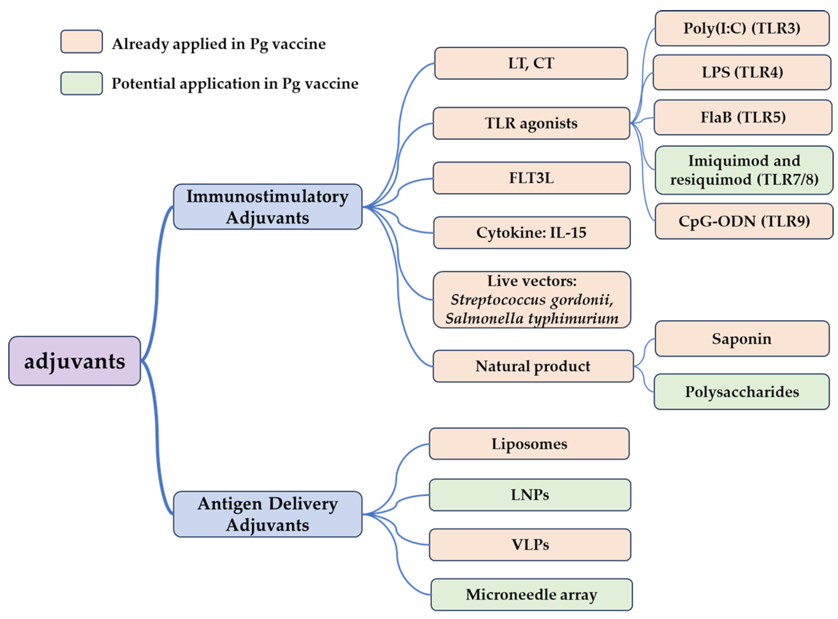 Vaccines 12 00619 g002