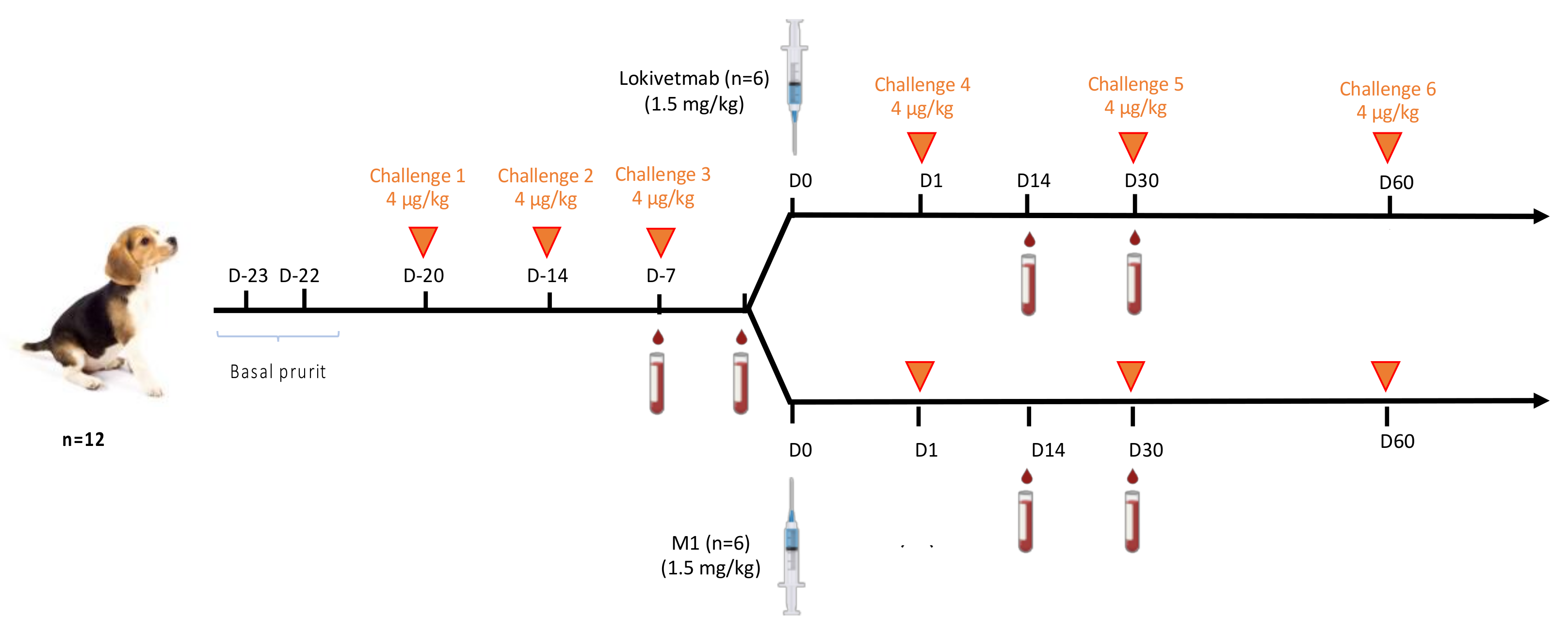 Vaccines 12 00620 g005