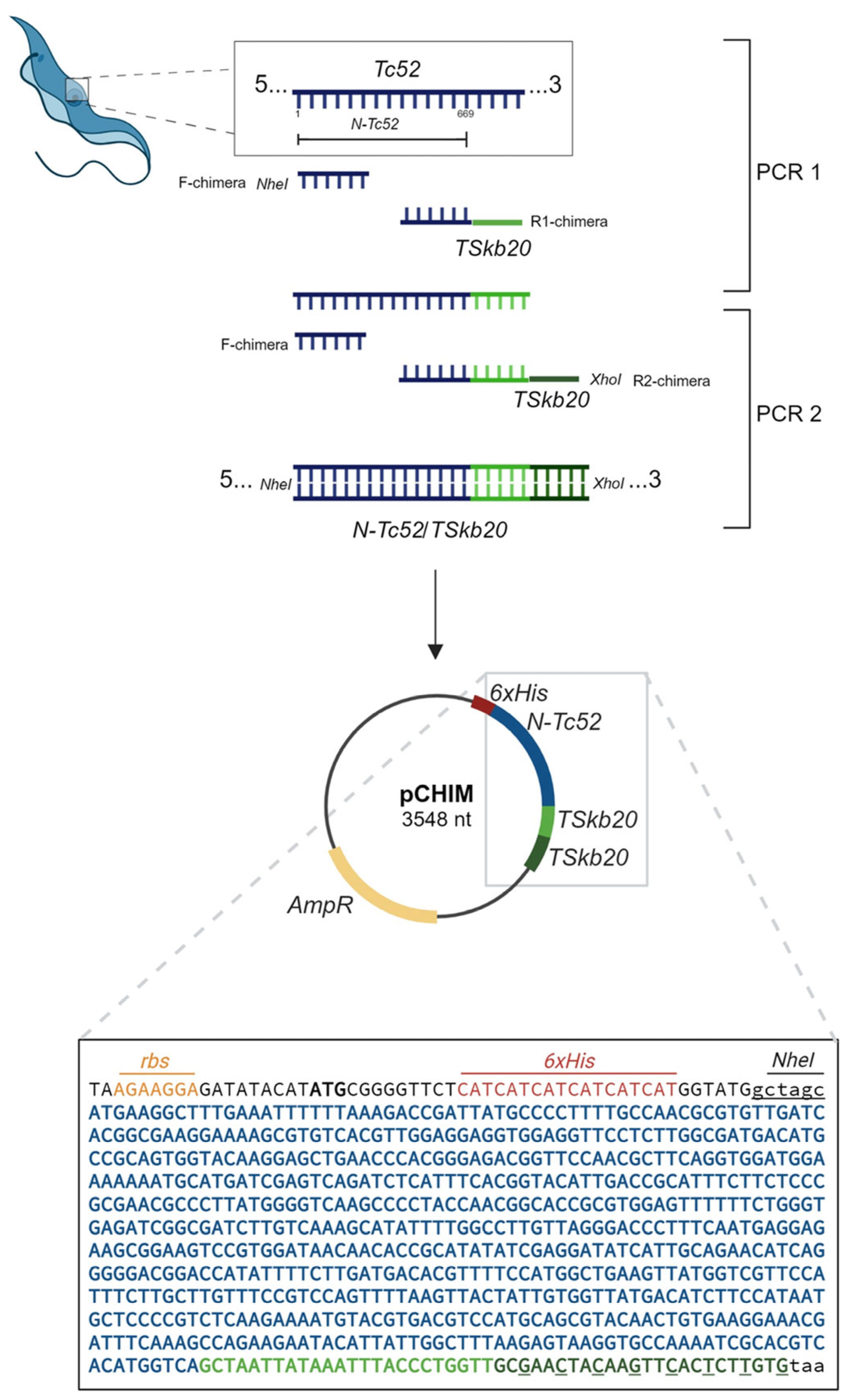 Vaccines 12 00621 g001