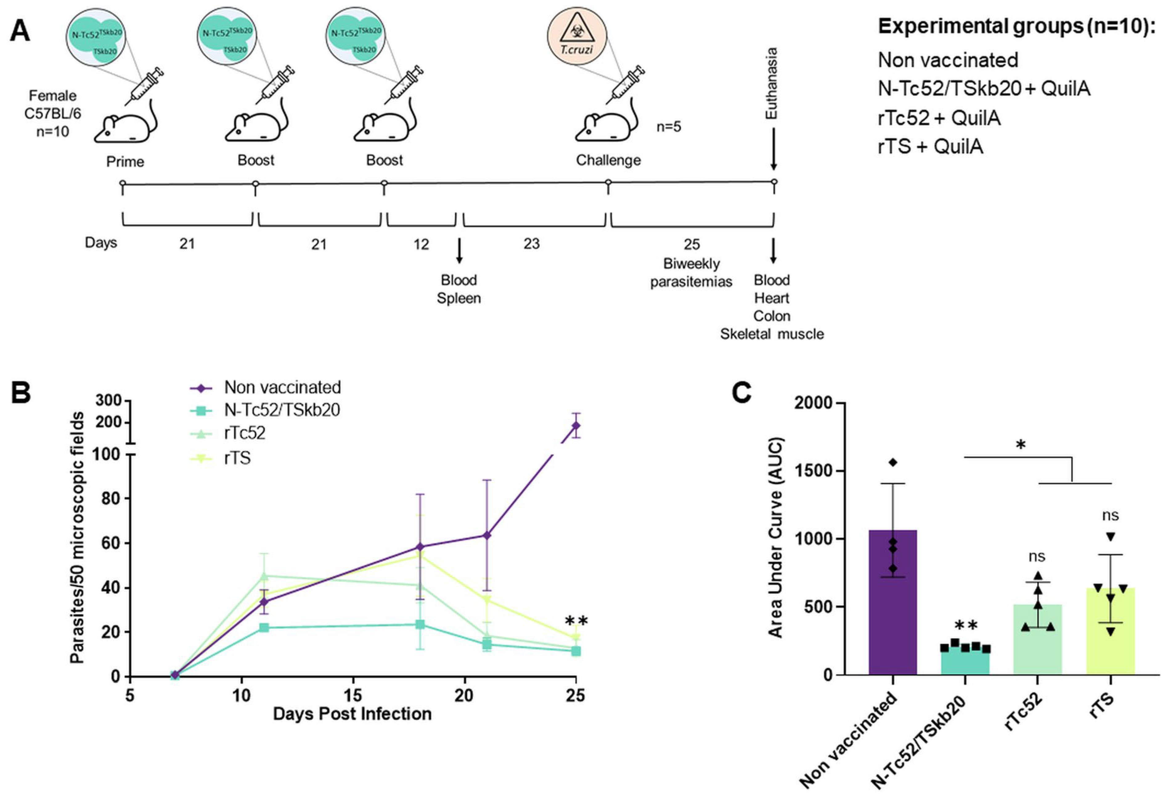 Vaccines 12 00621 g003