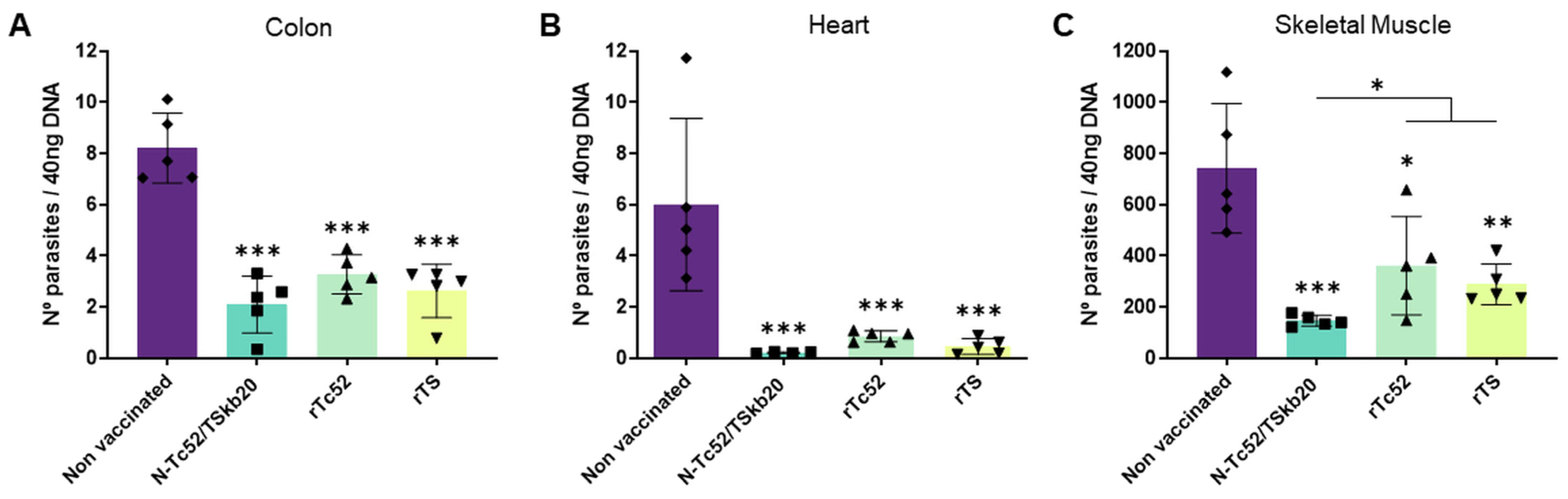 Vaccines 12 00621 g004